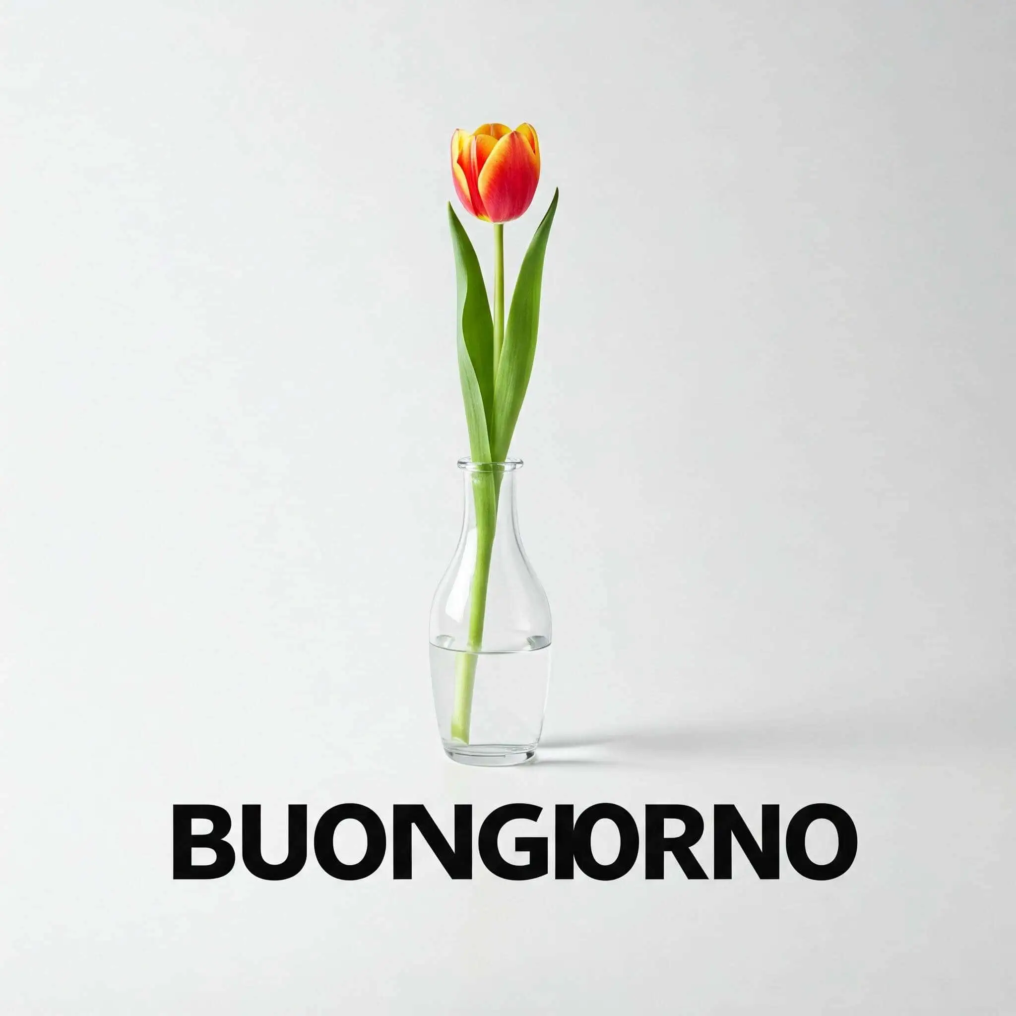 100 immagini buongiorno gratis per whatsapp, immagini buongiorno gratis