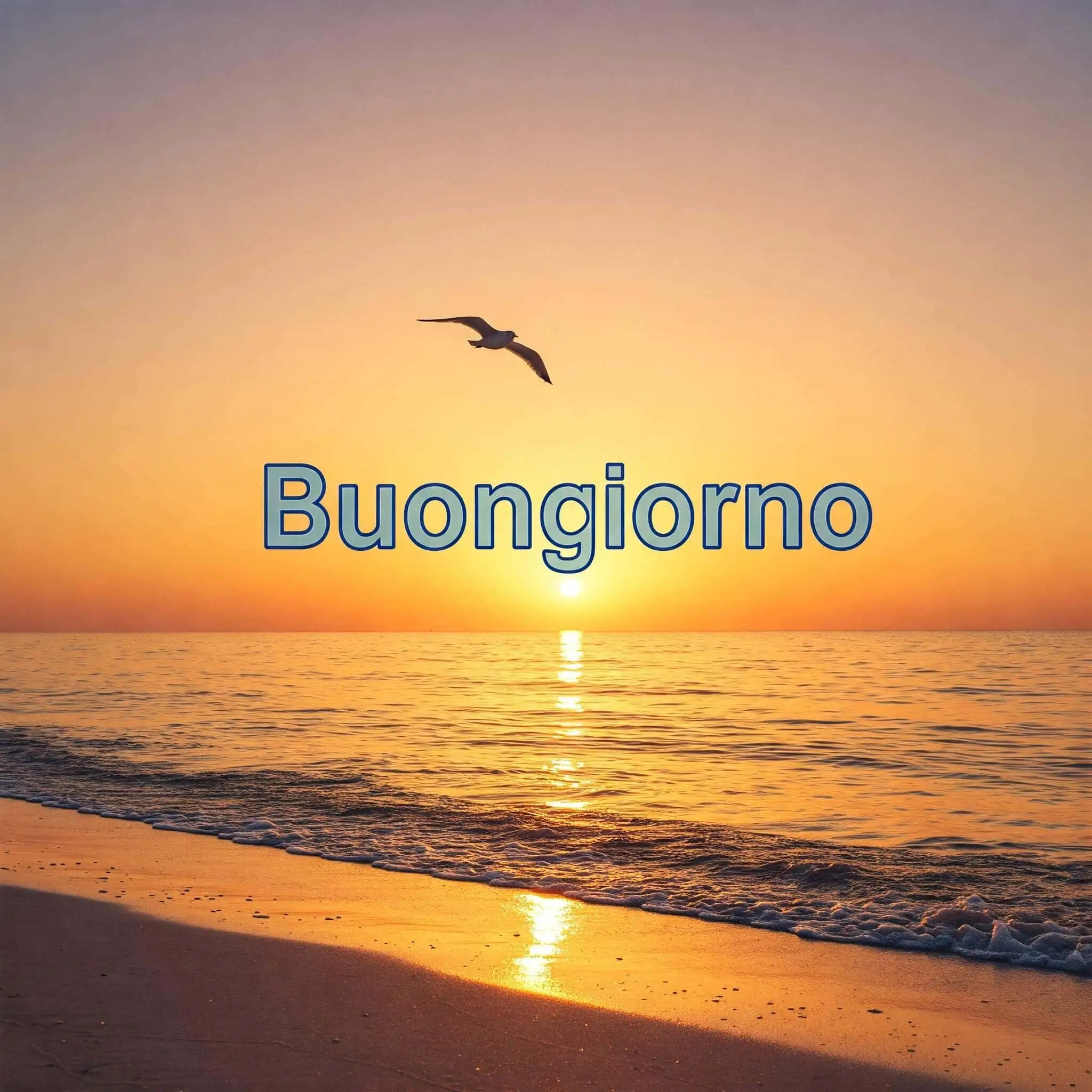 100 immagini buongiorno gratis per whatsapp, immagini buongiorno gratis