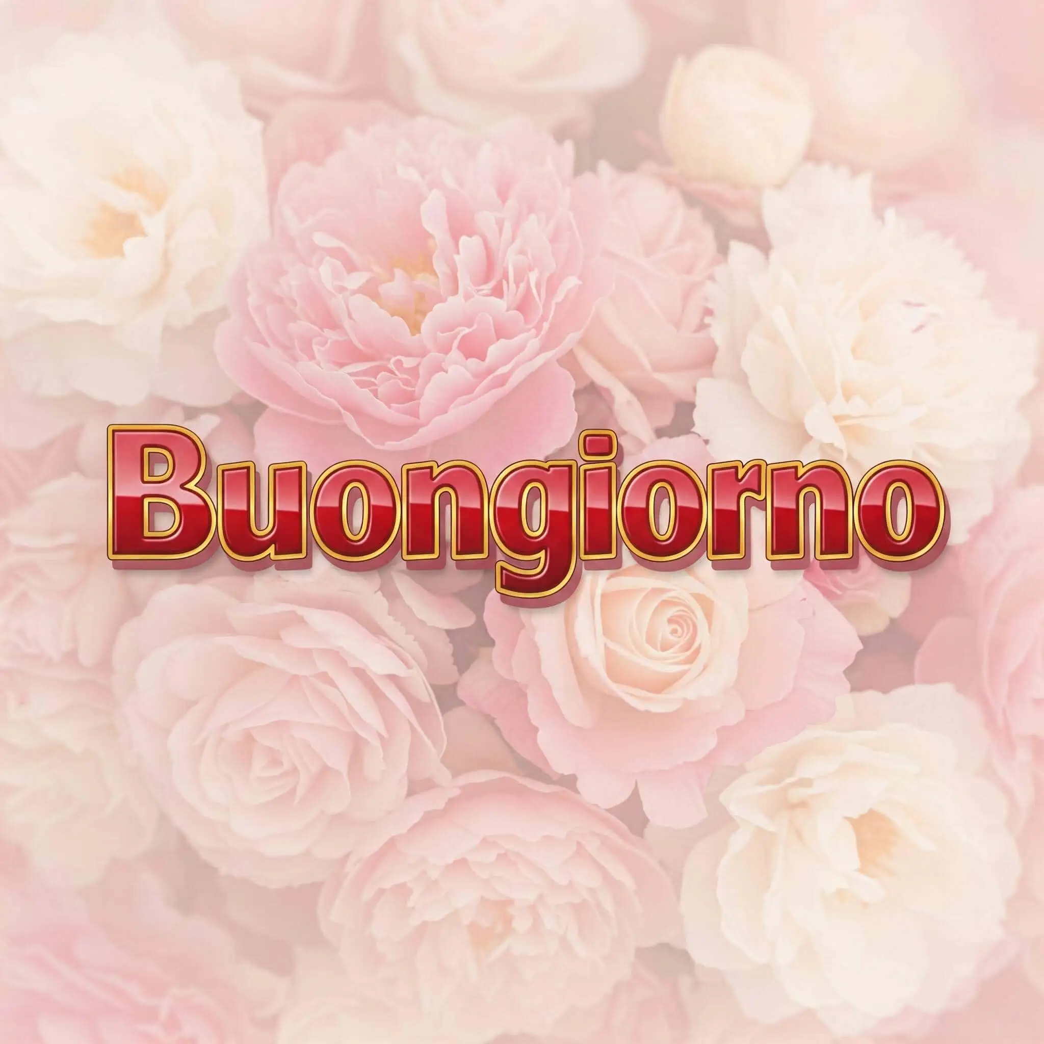 100 immagini buongiorno gratis per whatsapp, immagini buongiorno gratis