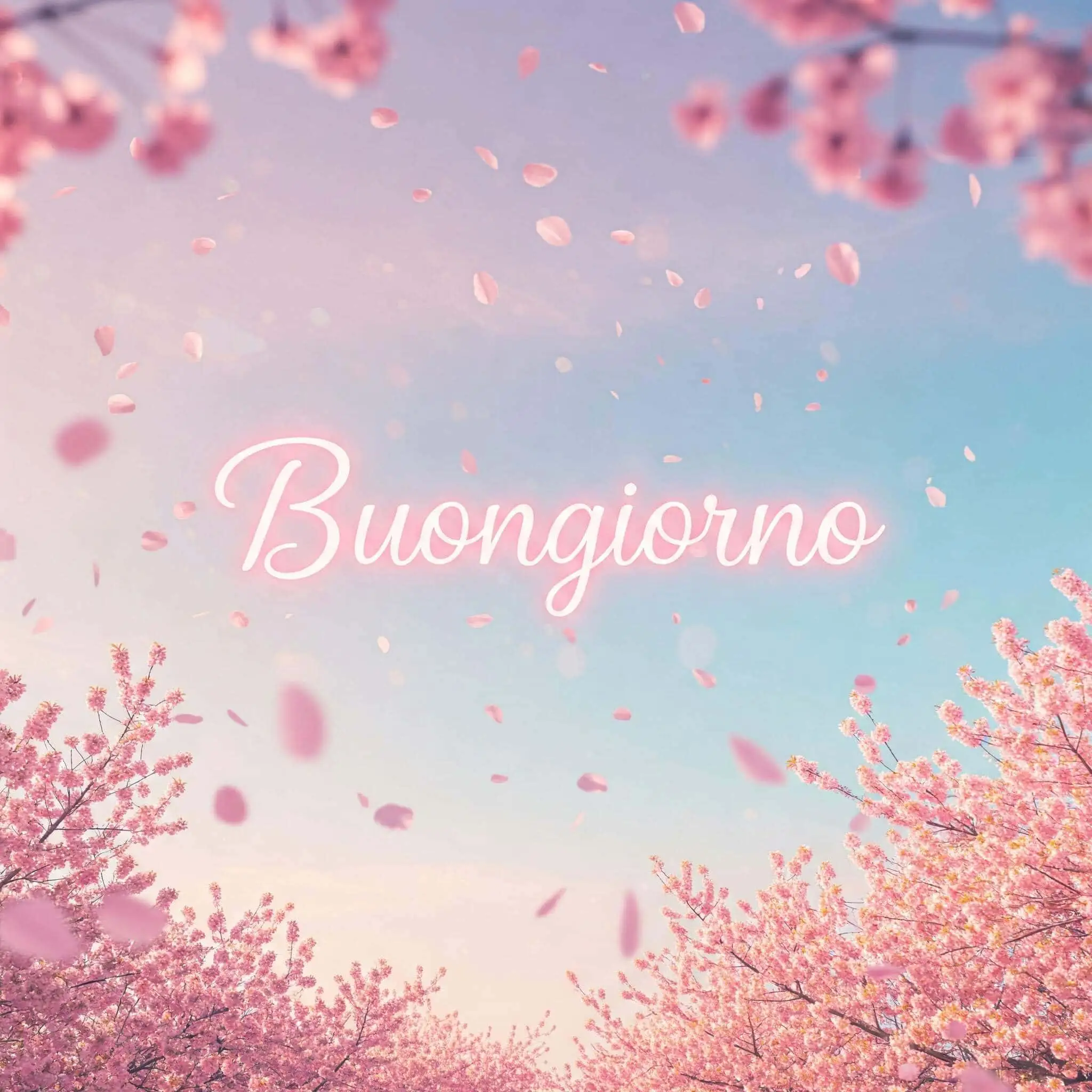 100 immagini buongiorno gratis per whatsapp, immagini buongiorno gratis