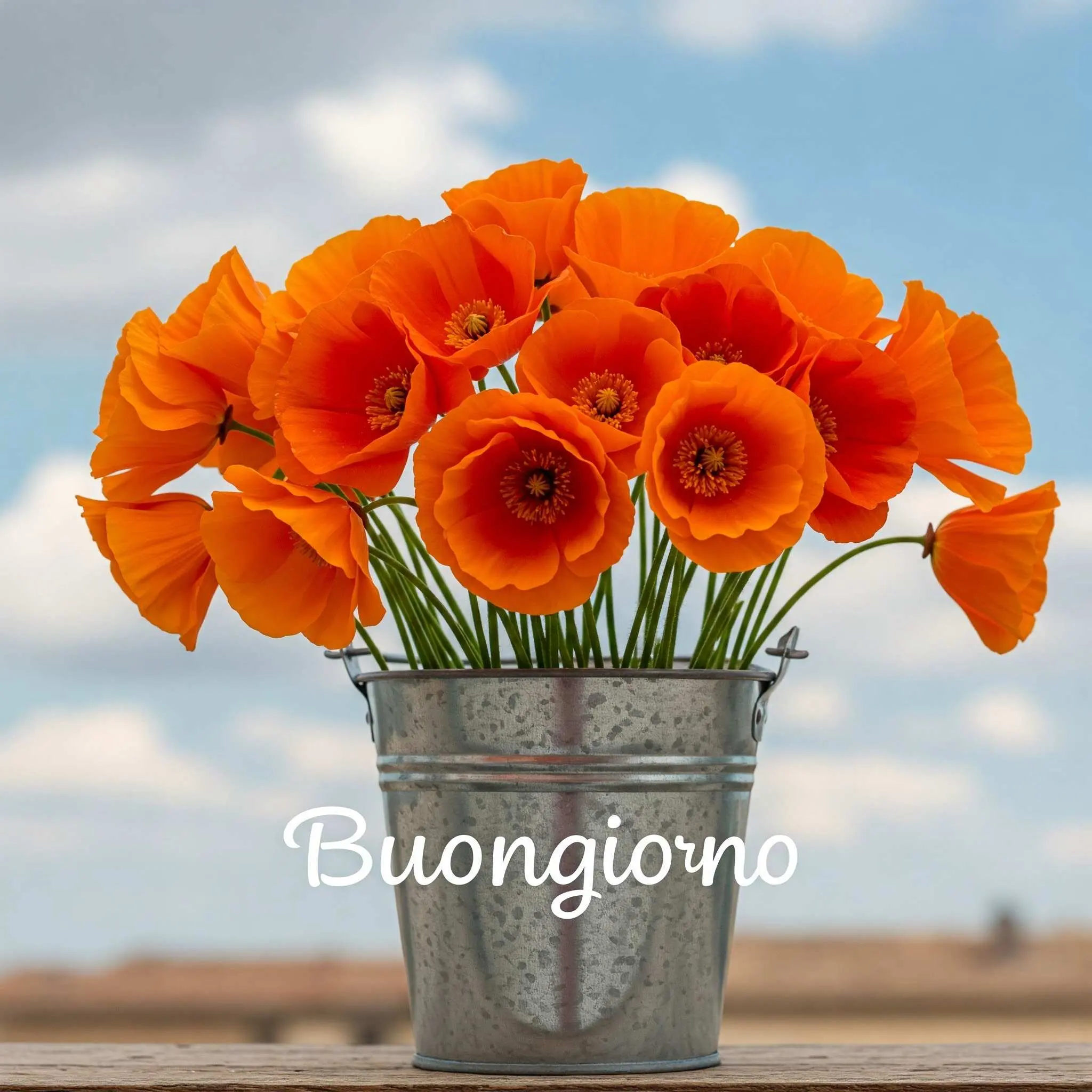 buongiorno fiori, immagini buongiorno fiori, buongiorno fiori bellissimi