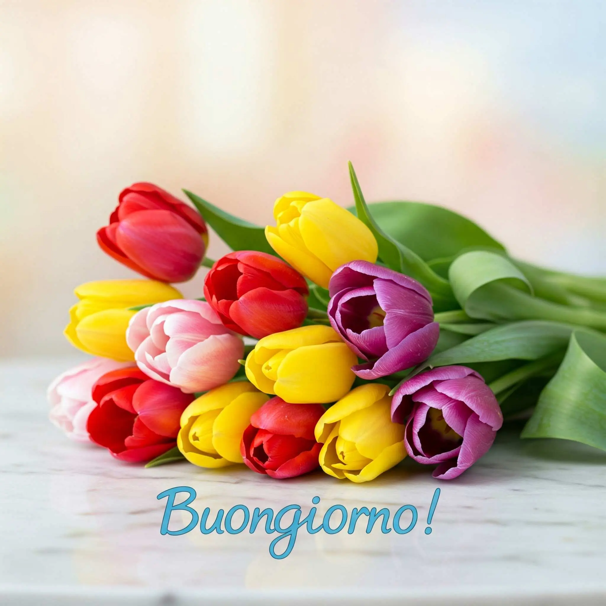 buongiorno fiori, immagini buongiorno fiori, buongiorno fiori bellissimi