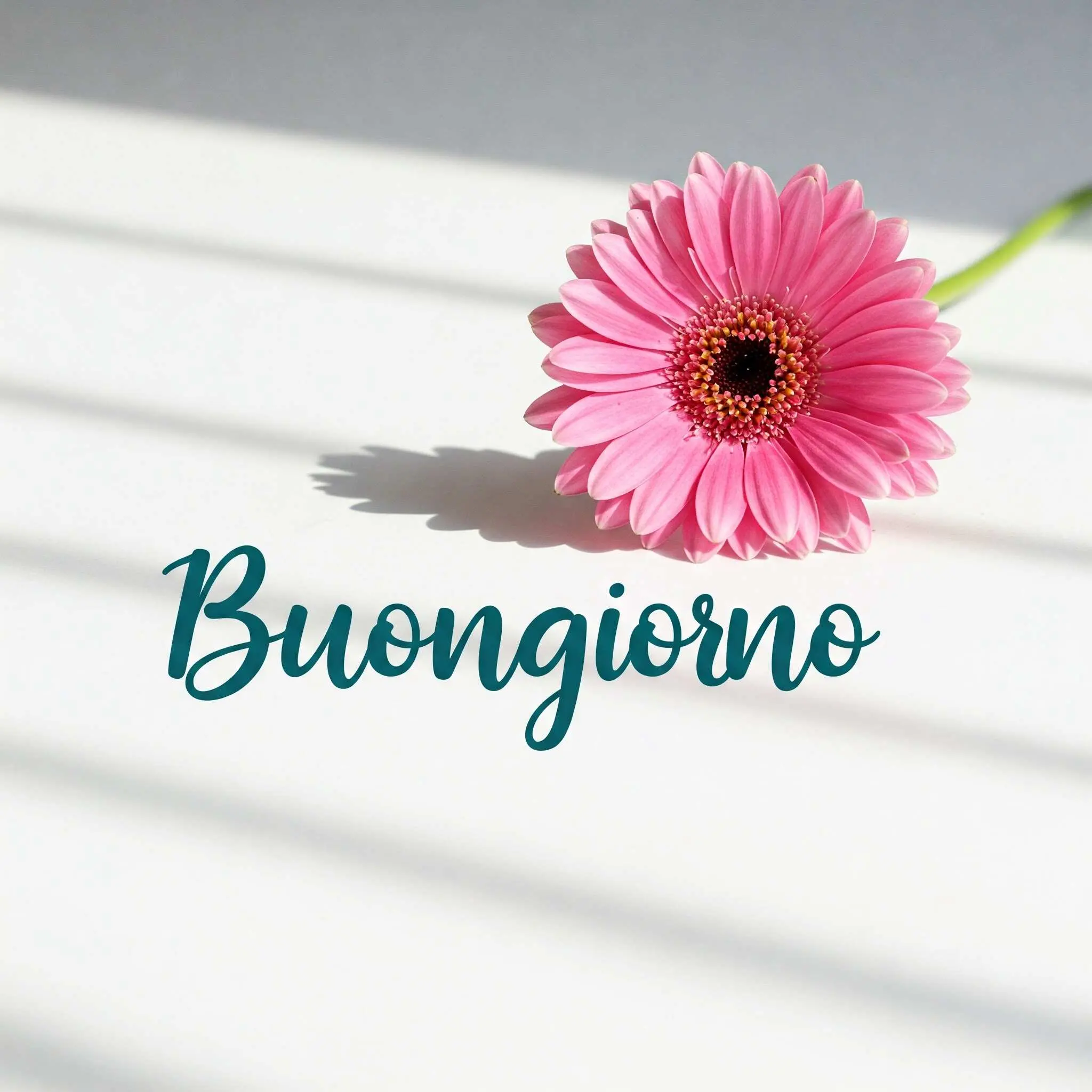 buongiorno fiori, immagini buongiorno fiori, buongiorno fiori bellissimi
