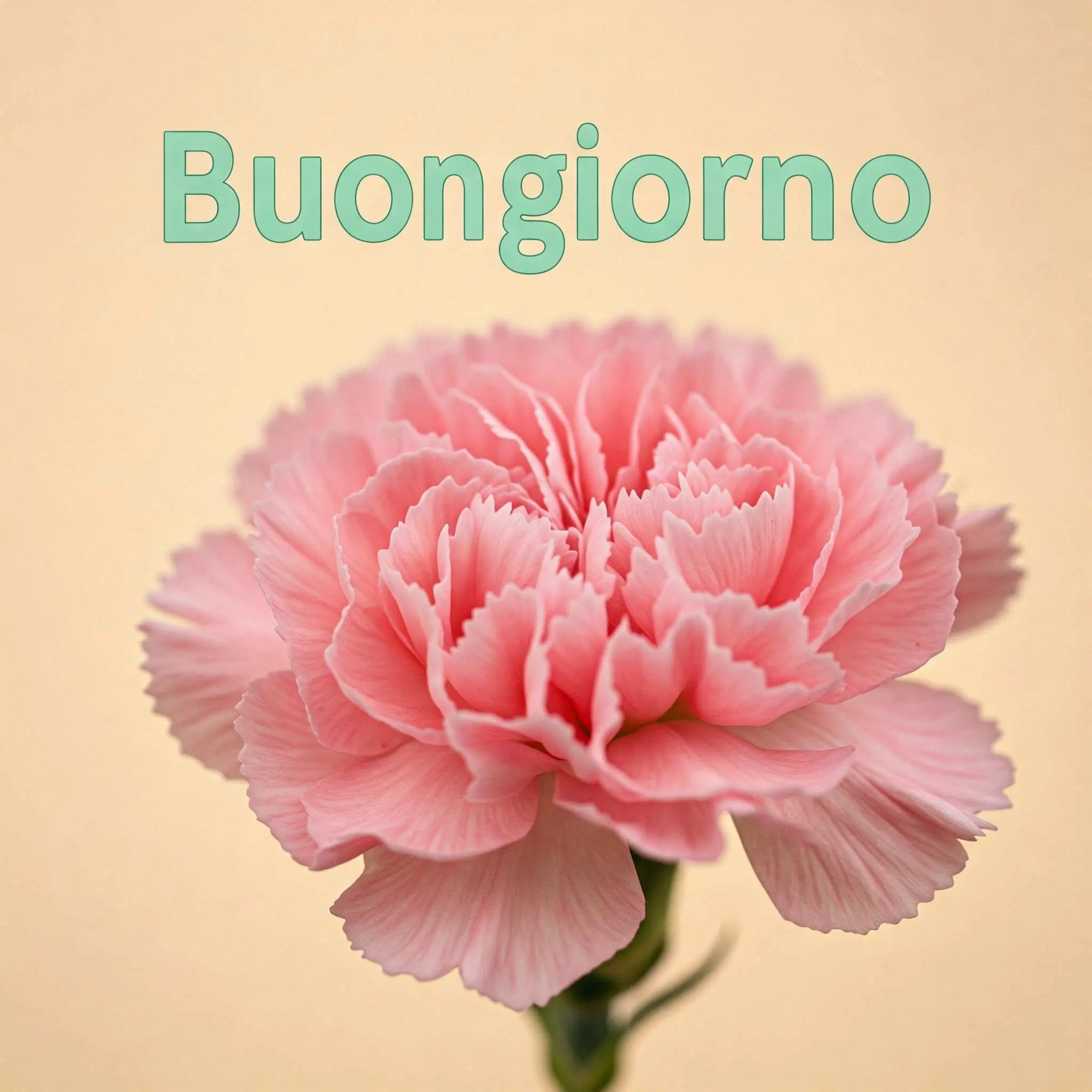 buongiorno fiori, immagini buongiorno fiori, buongiorno fiori bellissimi
