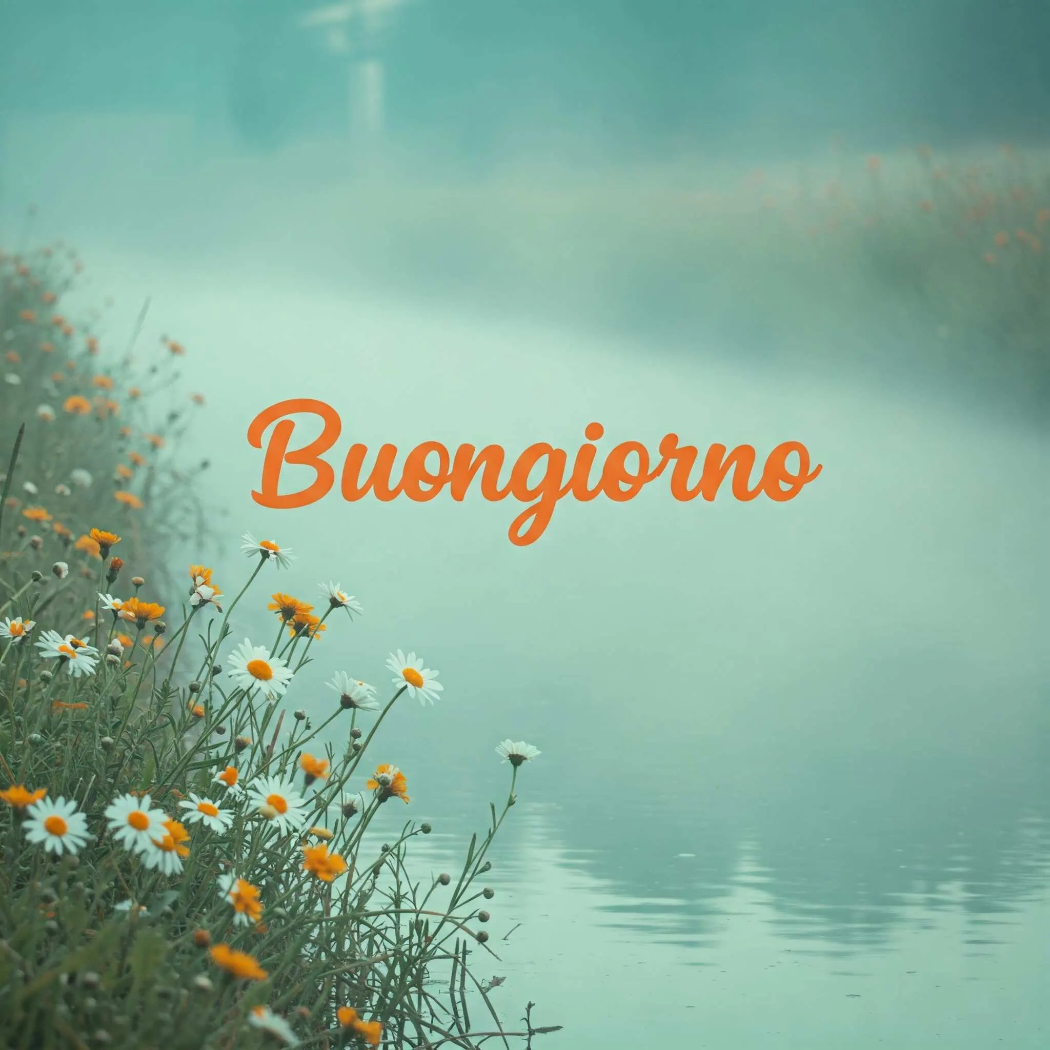 buongiorno fiori, immagini buongiorno fiori, buongiorno fiori bellissimi