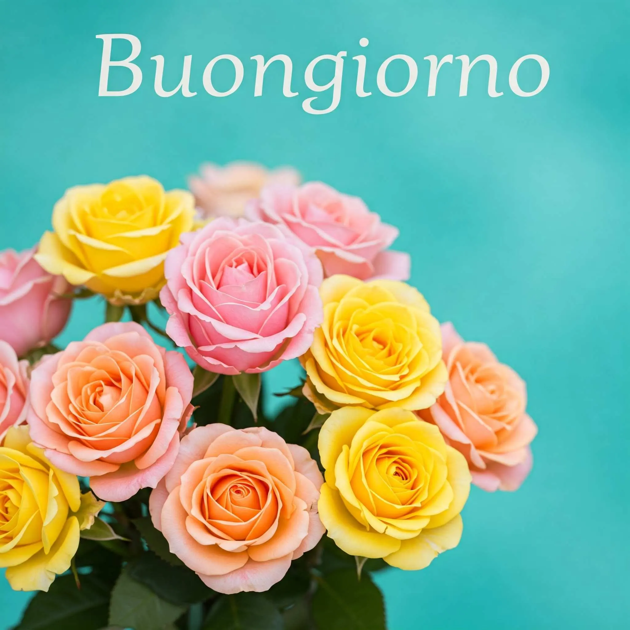 buongiorno fiori, immagini buongiorno fiori, buongiorno fiori bellissimi