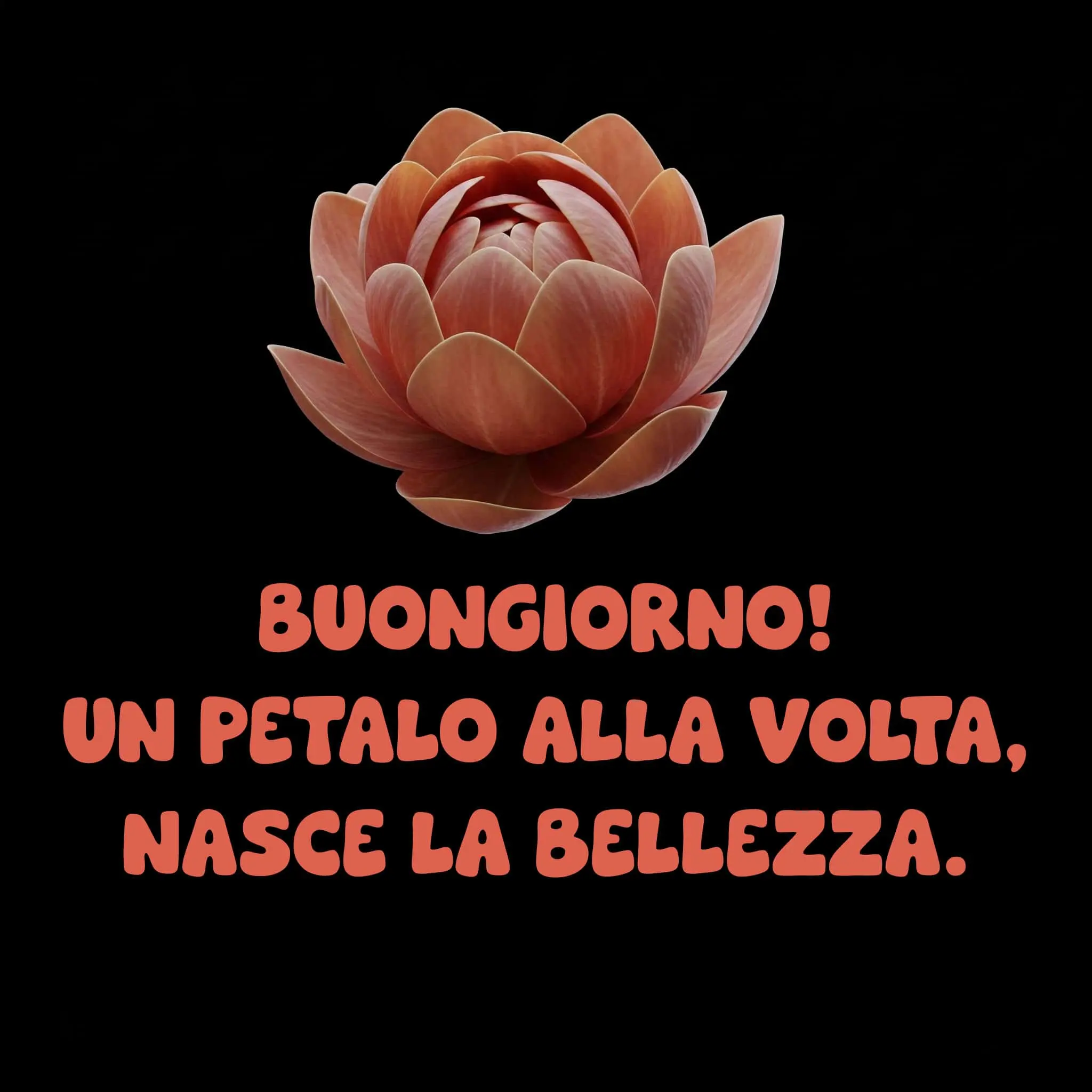 buongiorno fiori, immagini buongiorno fiori, buongiorno fiori bellissimi