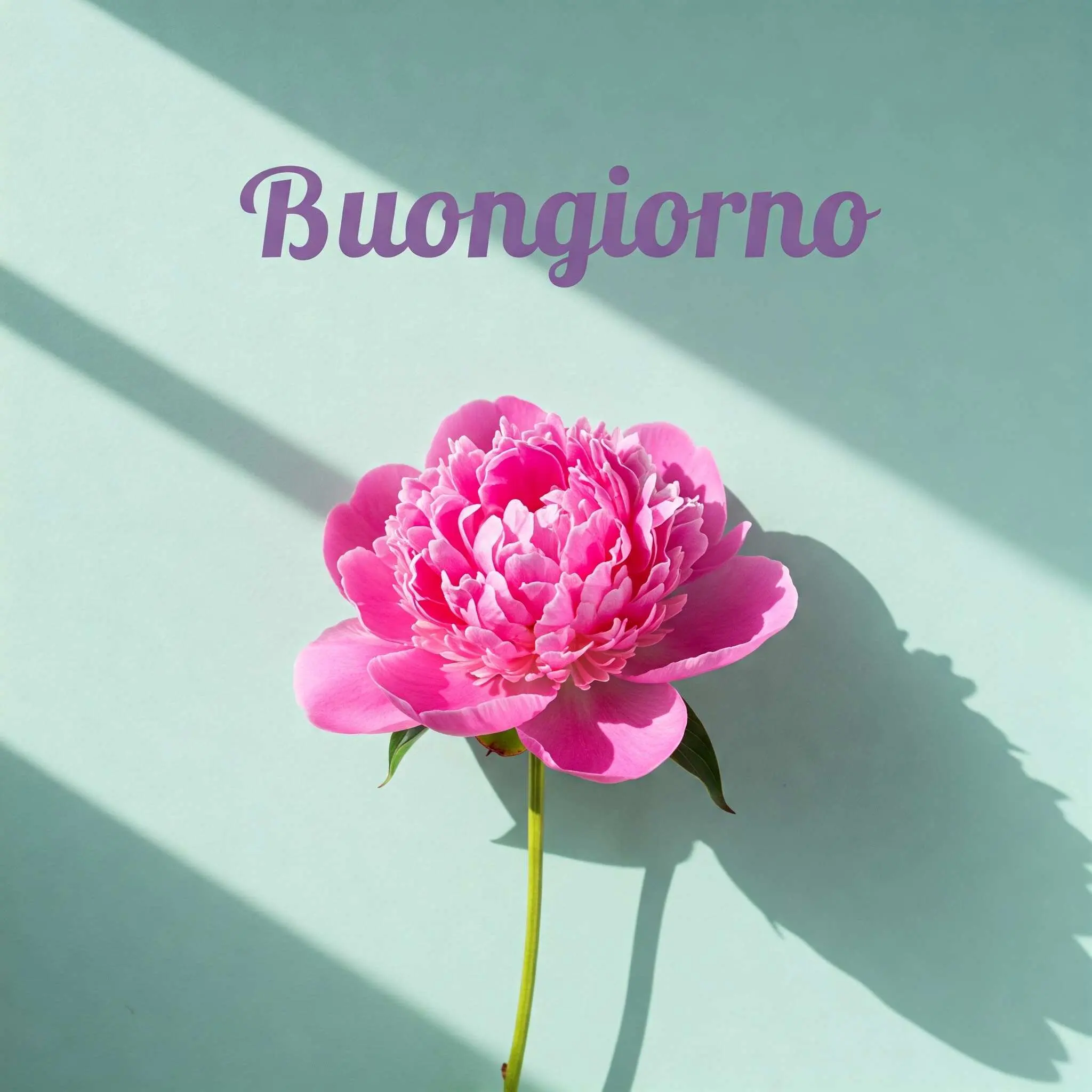 buongiorno fiori, immagini buongiorno fiori, buongiorno fiori bellissimi