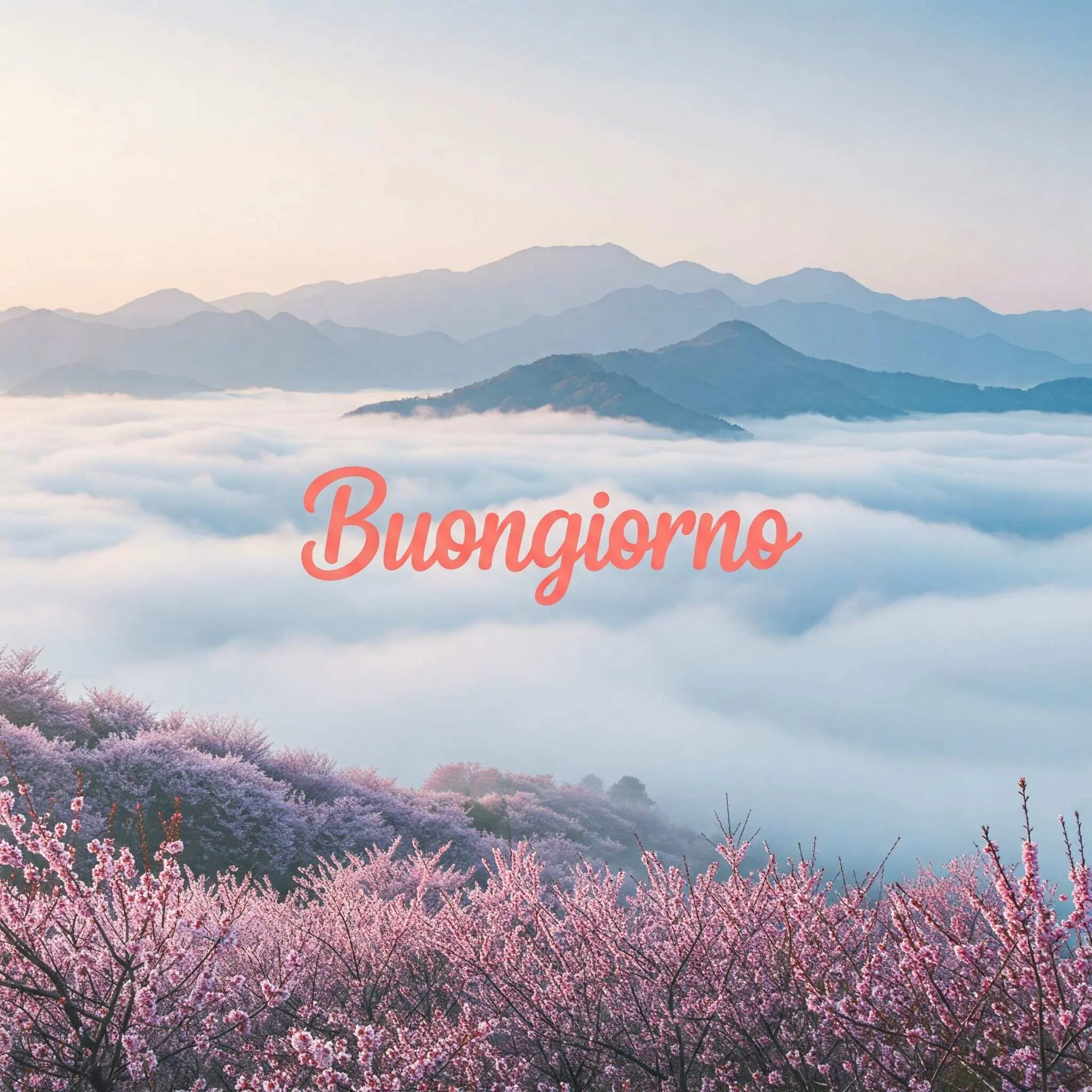 buongiorno fiori, immagini buongiorno fiori, buongiorno fiori bellissimi