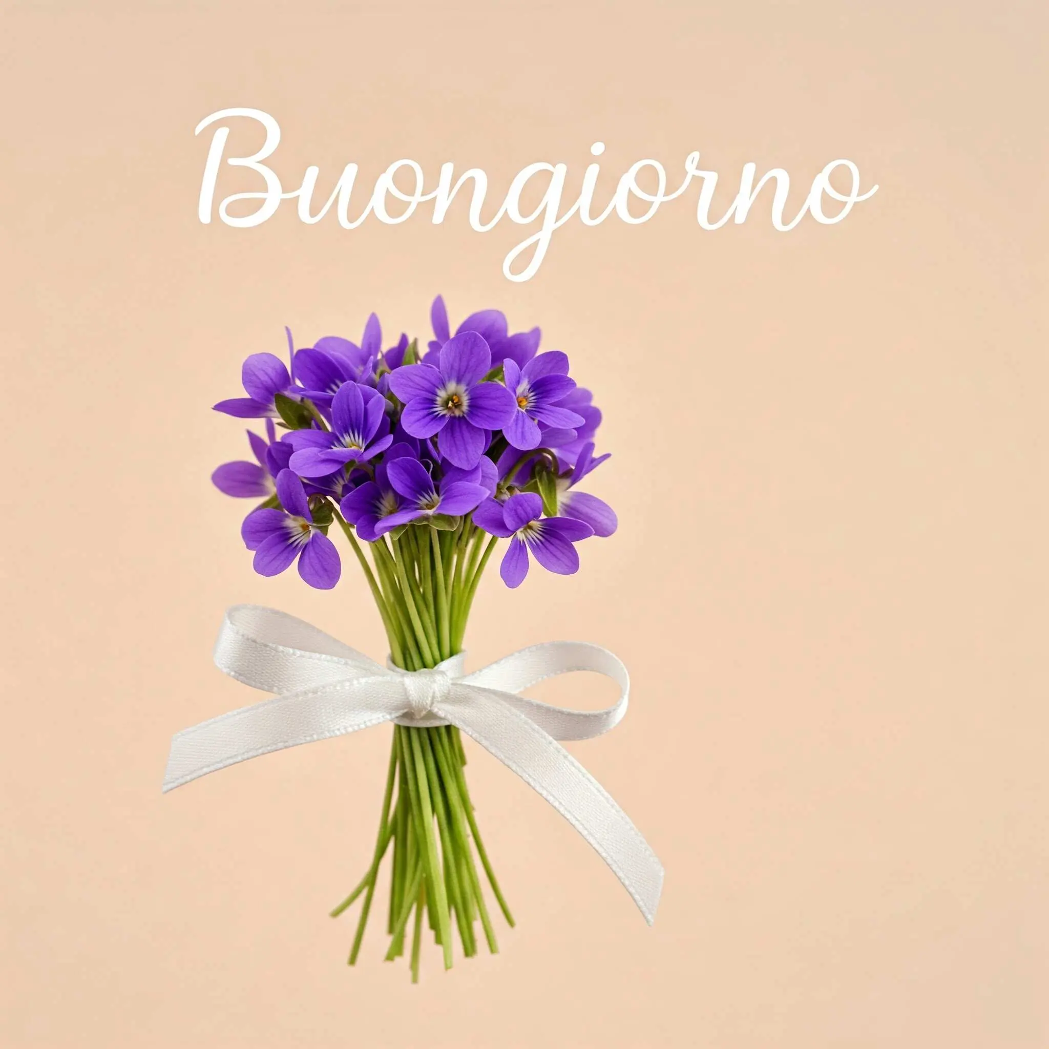 buongiorno fiori, immagini buongiorno fiori, buongiorno fiori bellissimi