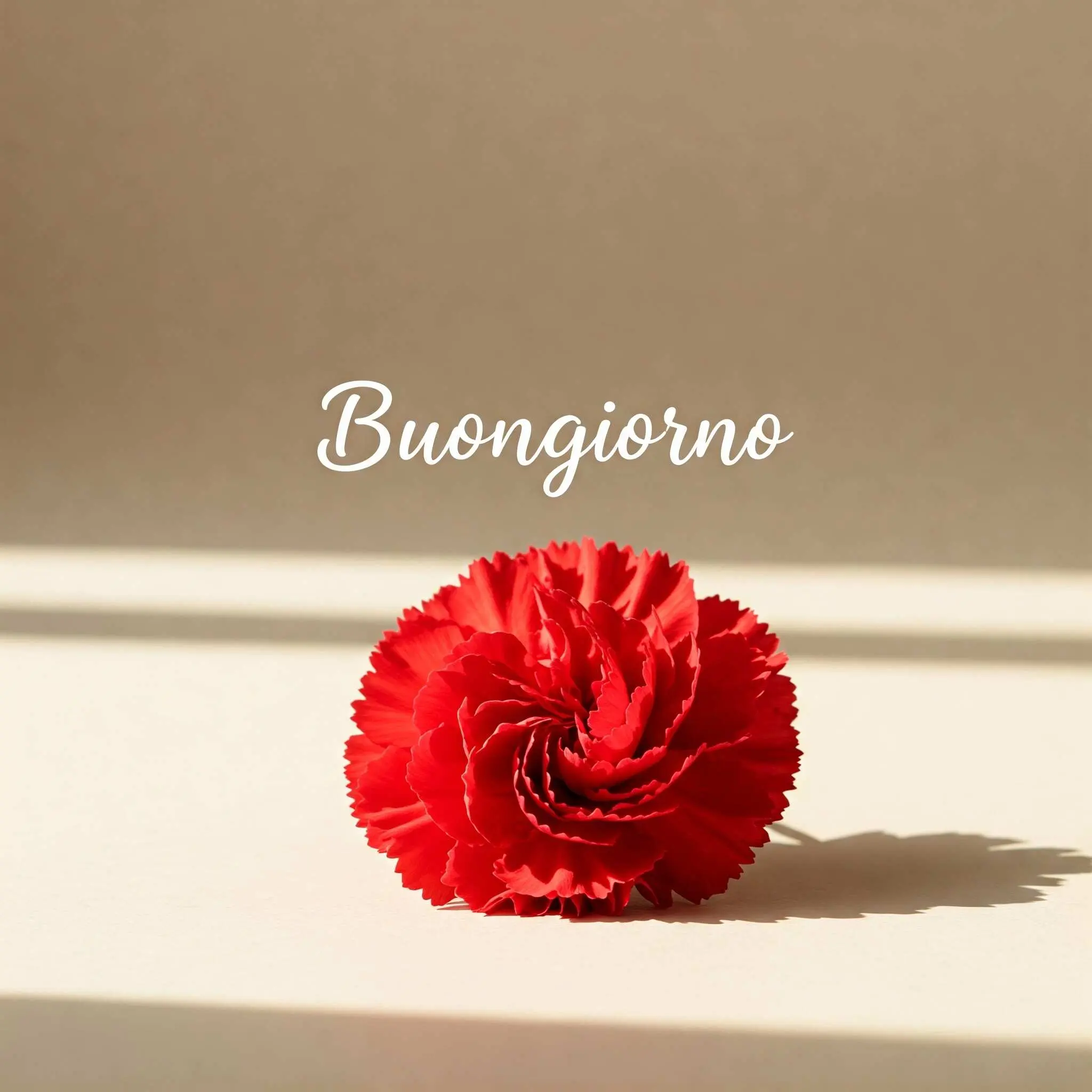 buongiorno fiori, immagini buongiorno fiori, buongiorno fiori bellissimi