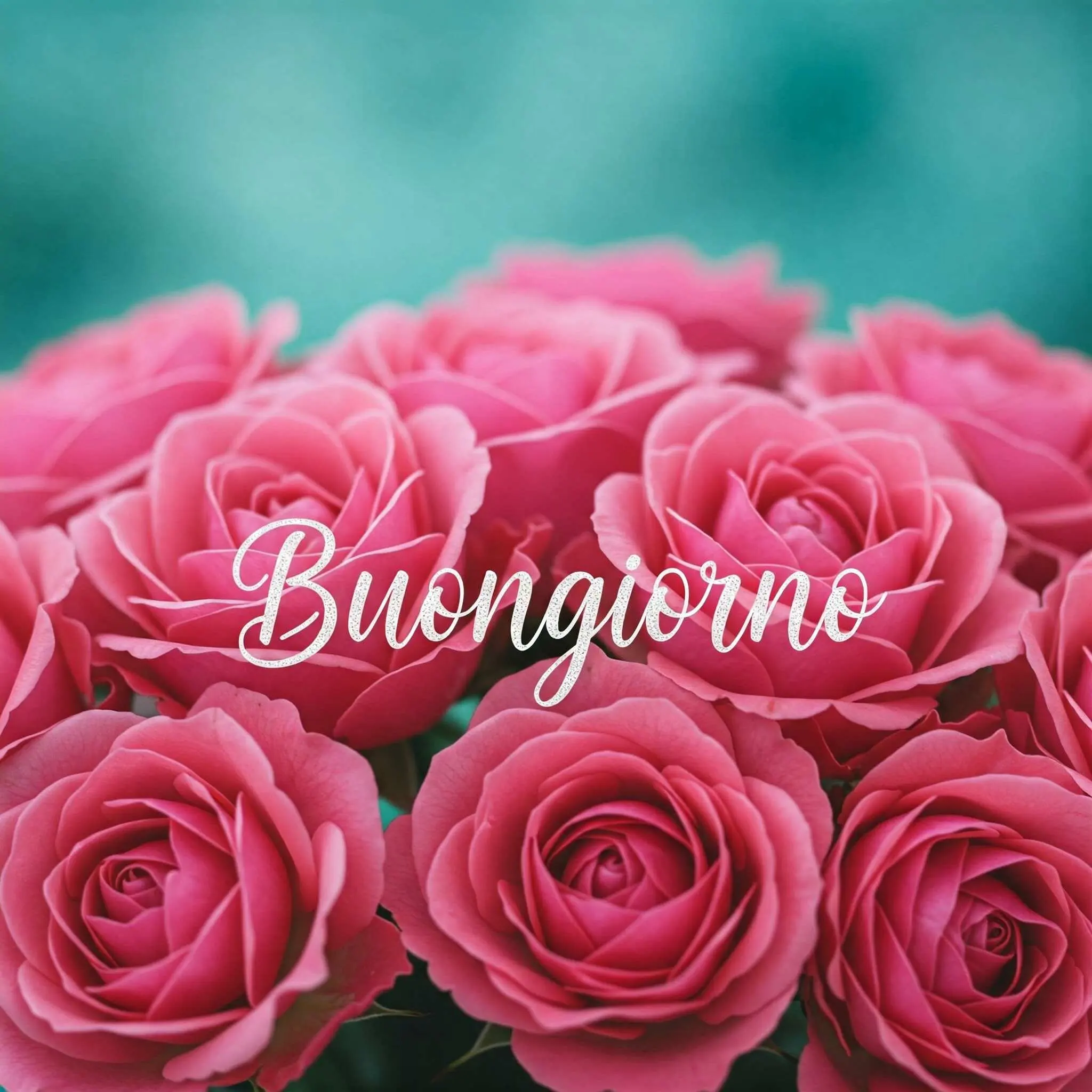 buongiorno fiori, immagini buongiorno fiori, buongiorno fiori bellissimi