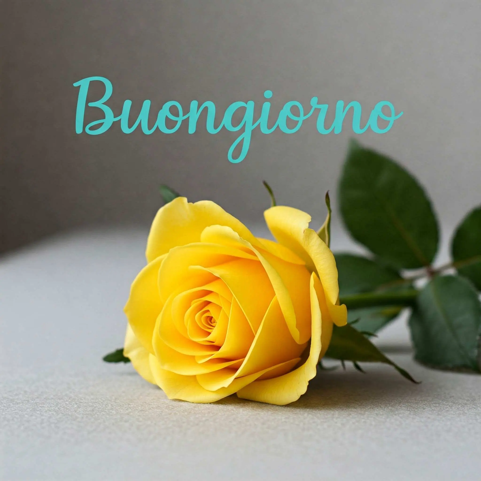 buongiorno fiori, immagini buongiorno fiori, buongiorno fiori bellissimi