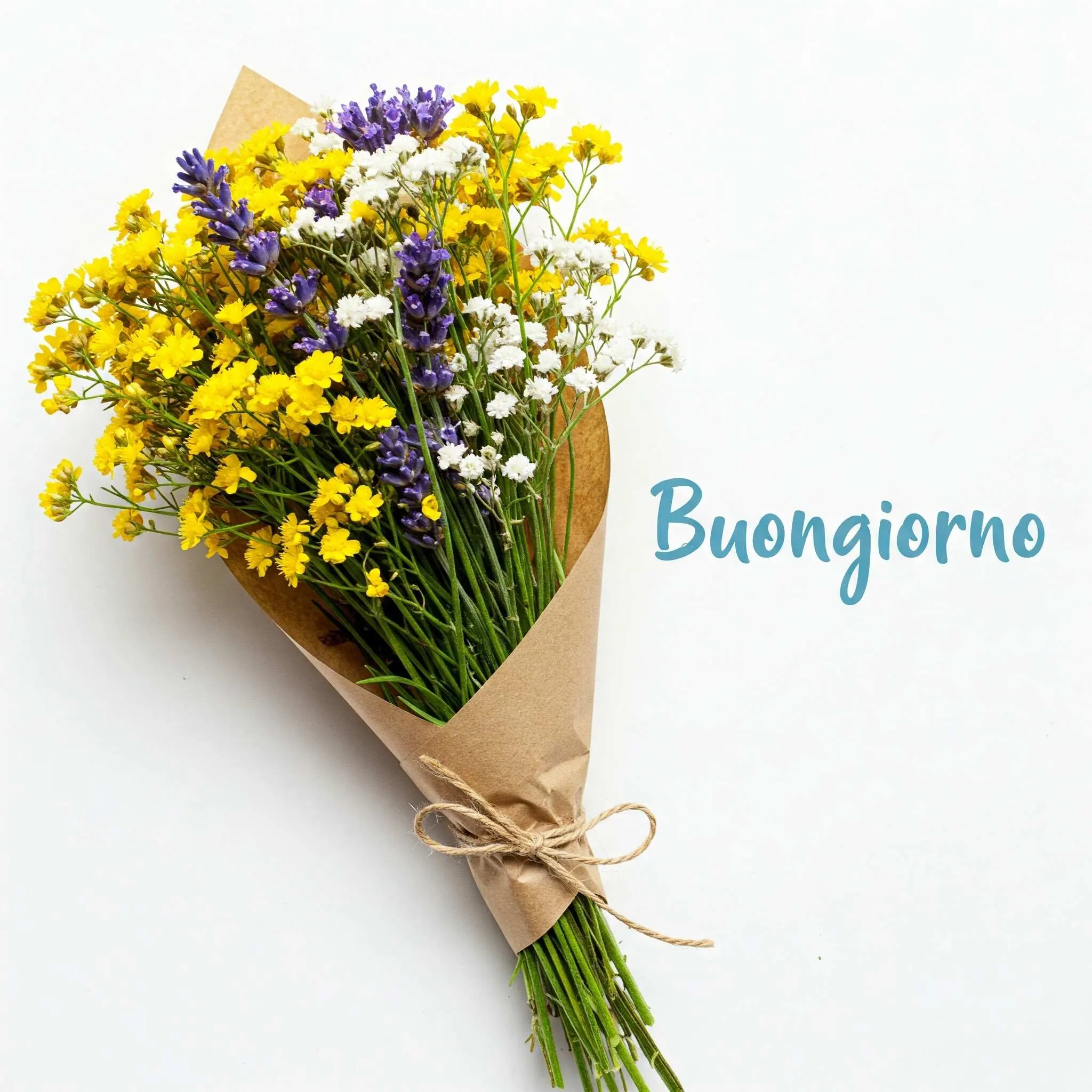 buongiorno fiori, immagini buongiorno fiori, buongiorno fiori bellissimi