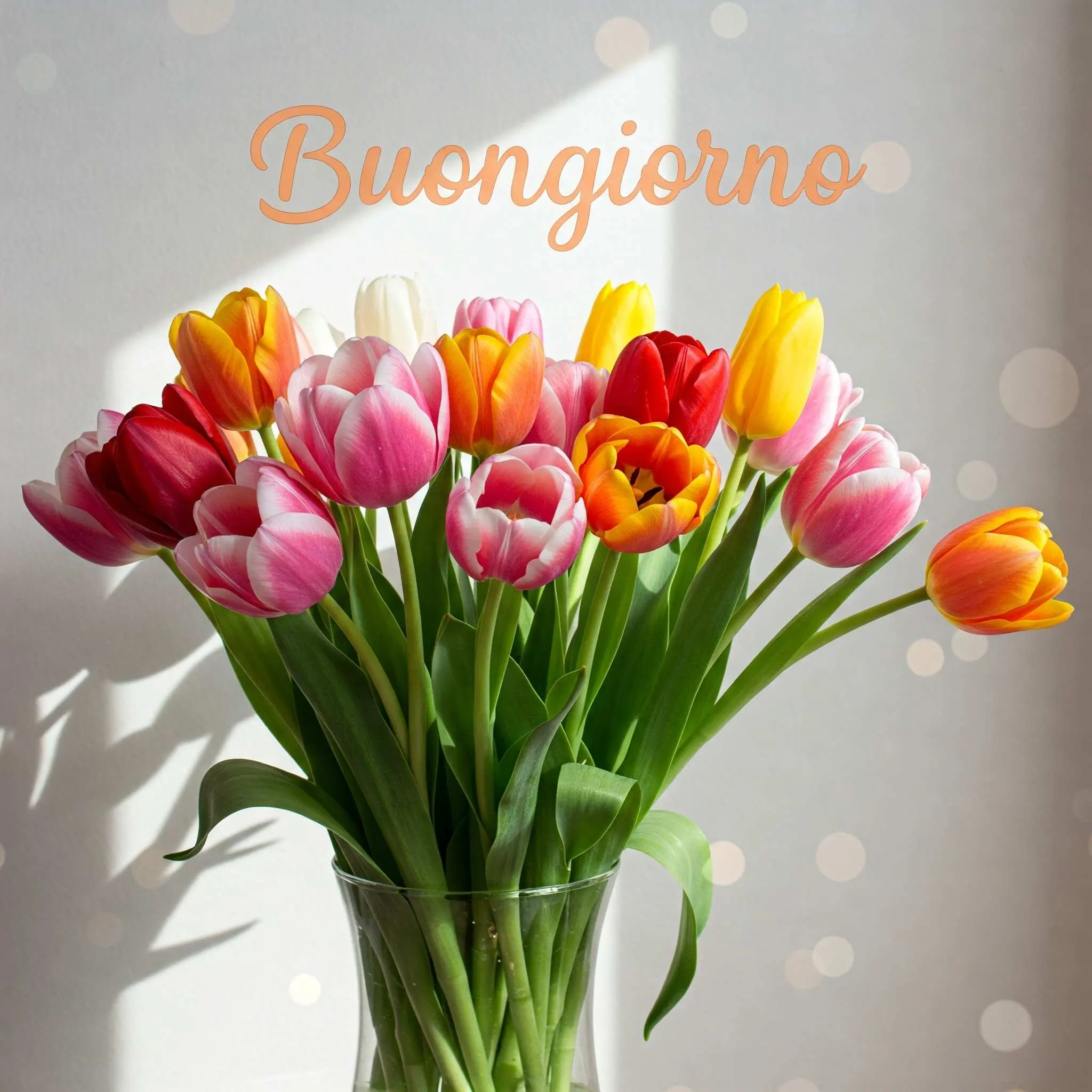 buongiorno fiori, immagini buongiorno fiori, buongiorno fiori bellissimi