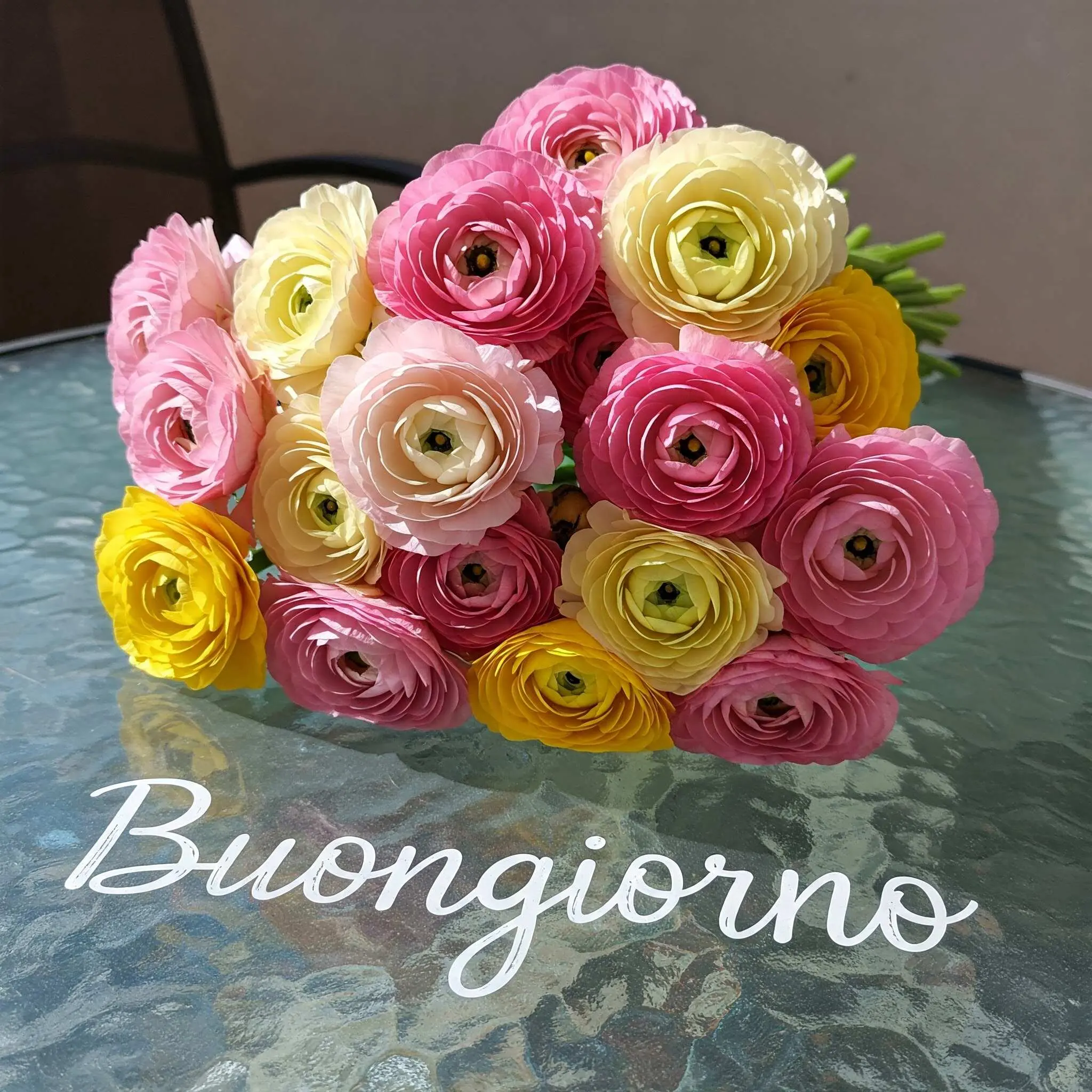 buongiorno fiori, immagini buongiorno fiori, buongiorno fiori bellissimi