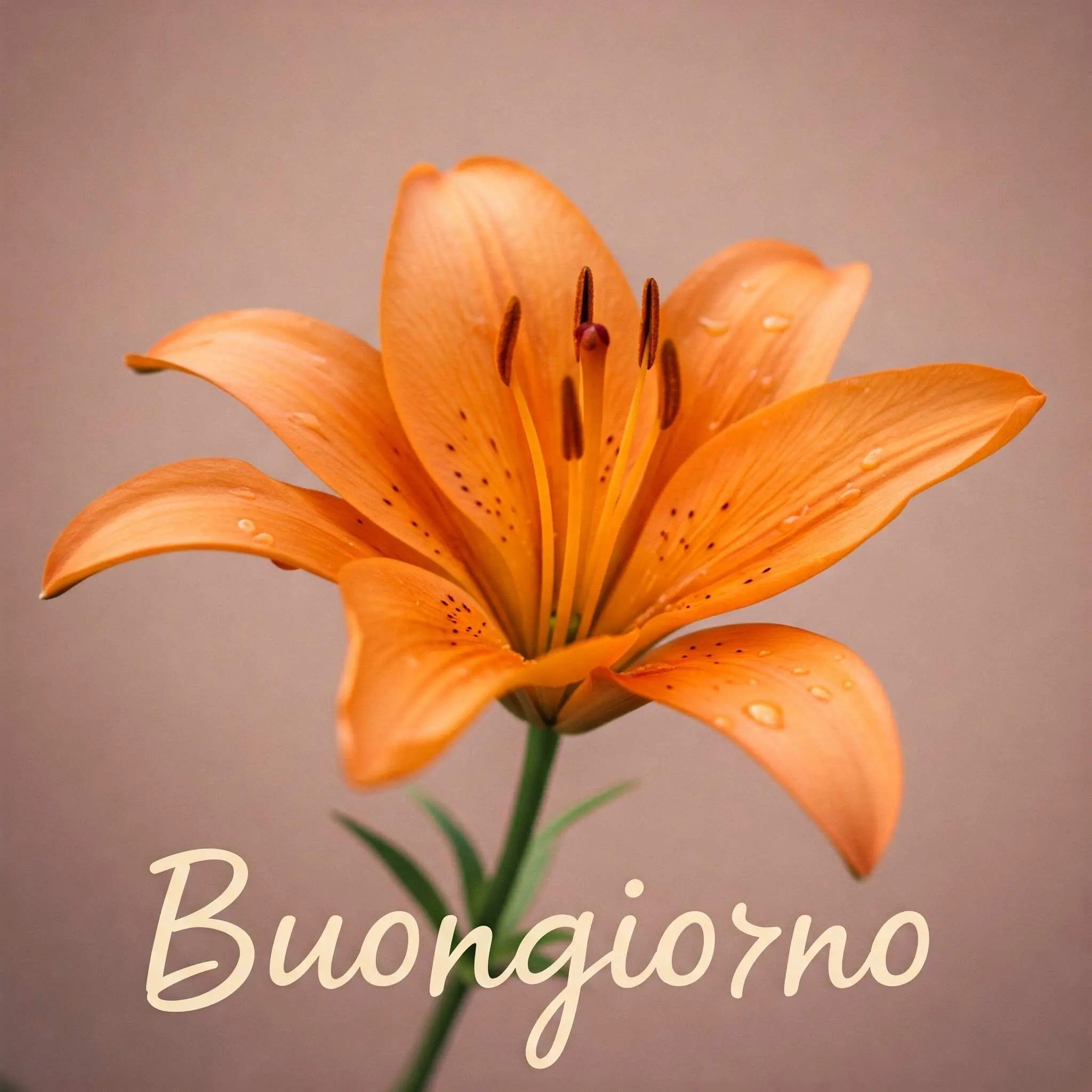 buongiorno fiori, immagini buongiorno fiori, buongiorno fiori bellissimi