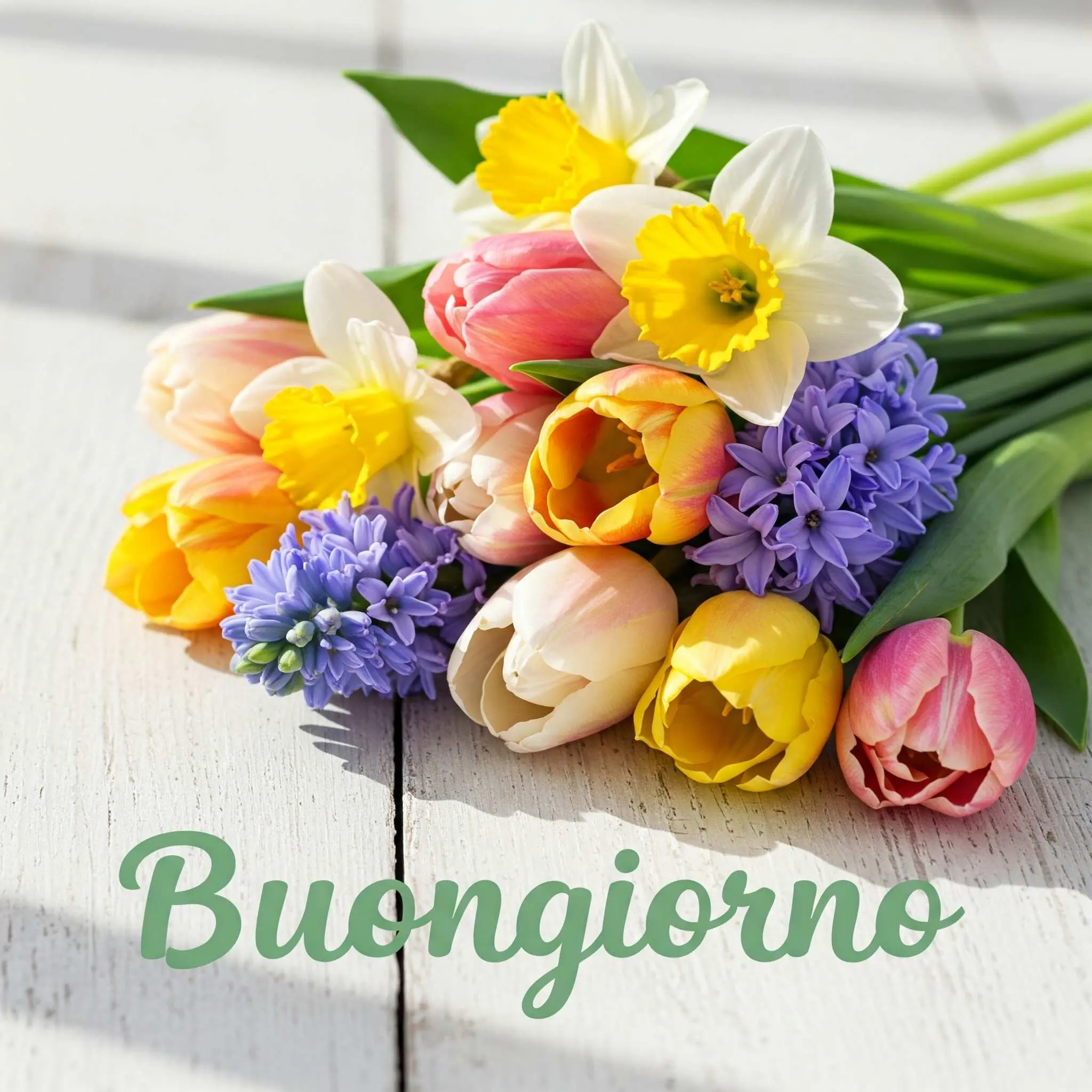 buongiorno fiori, immagini buongiorno fiori, buongiorno fiori bellissimi