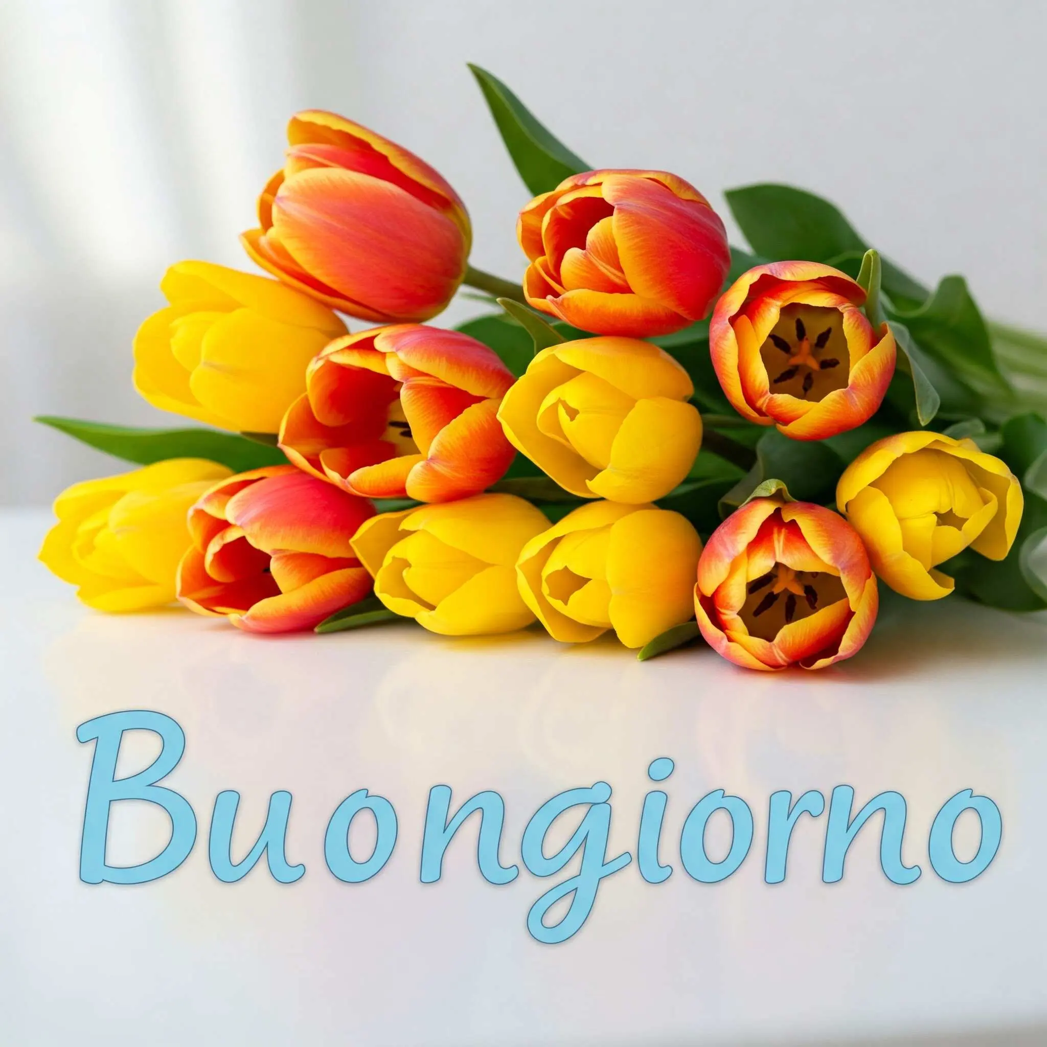 buongiorno fiori, immagini buongiorno fiori, buongiorno fiori bellissimi