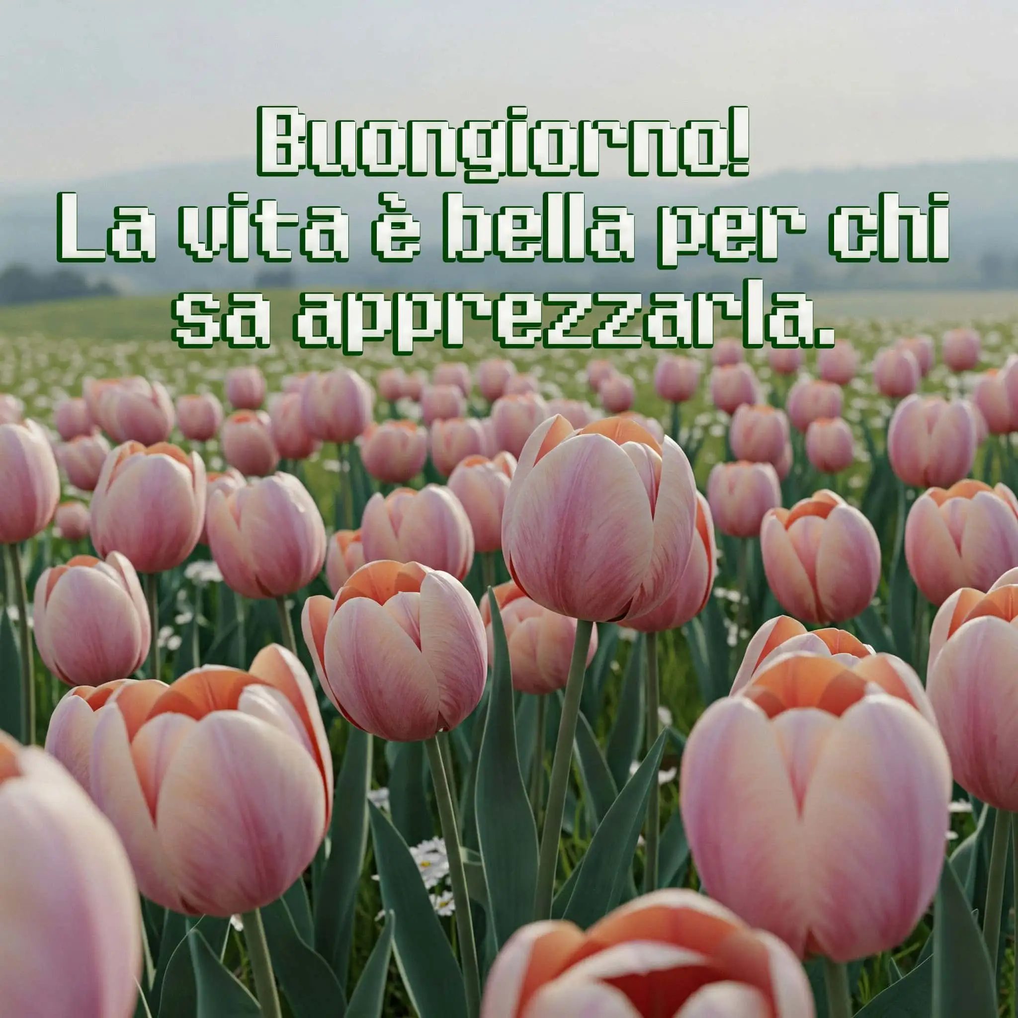 Buongiorno Frasi e Immagini