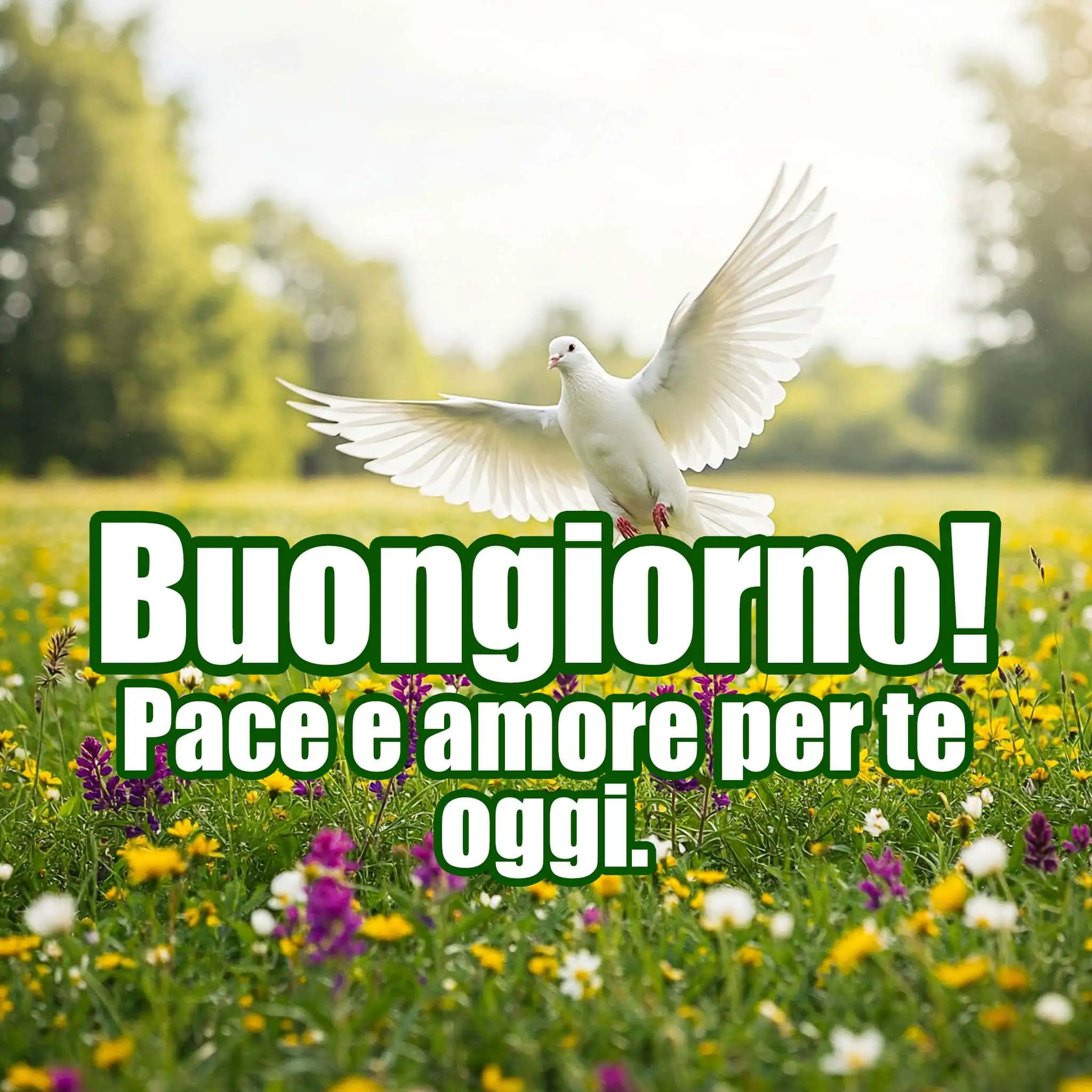 Buongiorno Frasi e Immagini