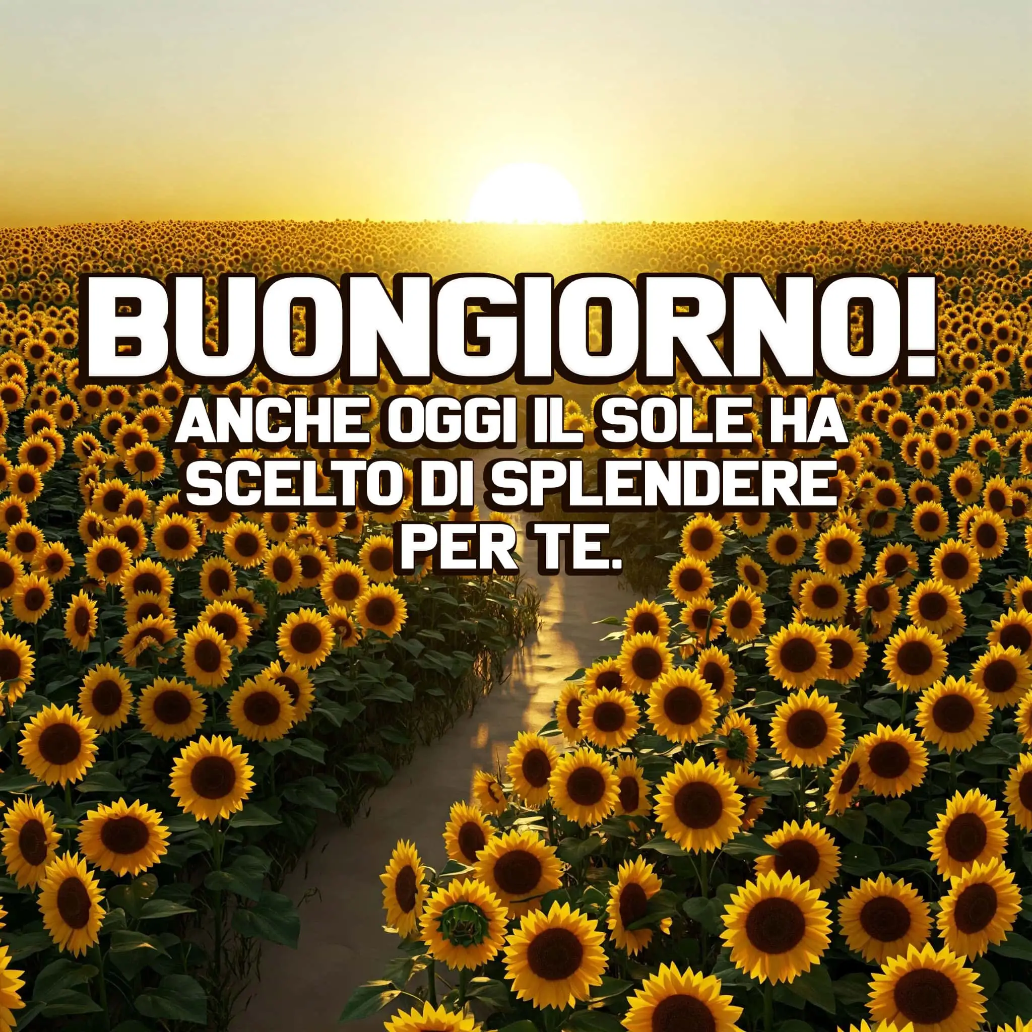 Buongiorno Frasi e Immagini