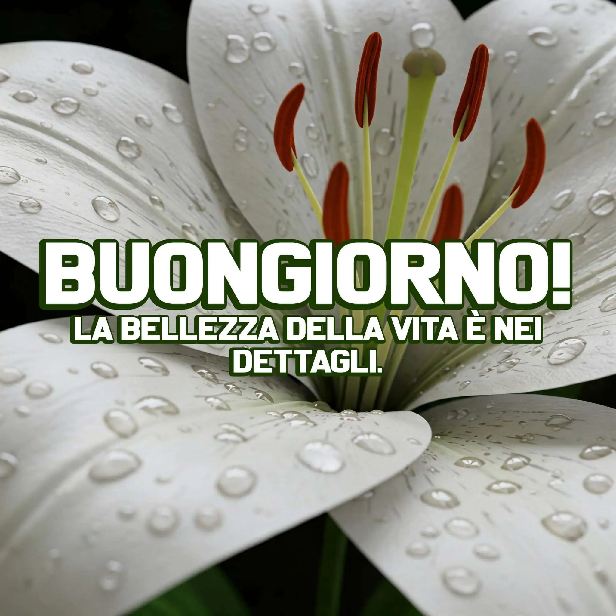 Buongiorno Frasi e Immagini