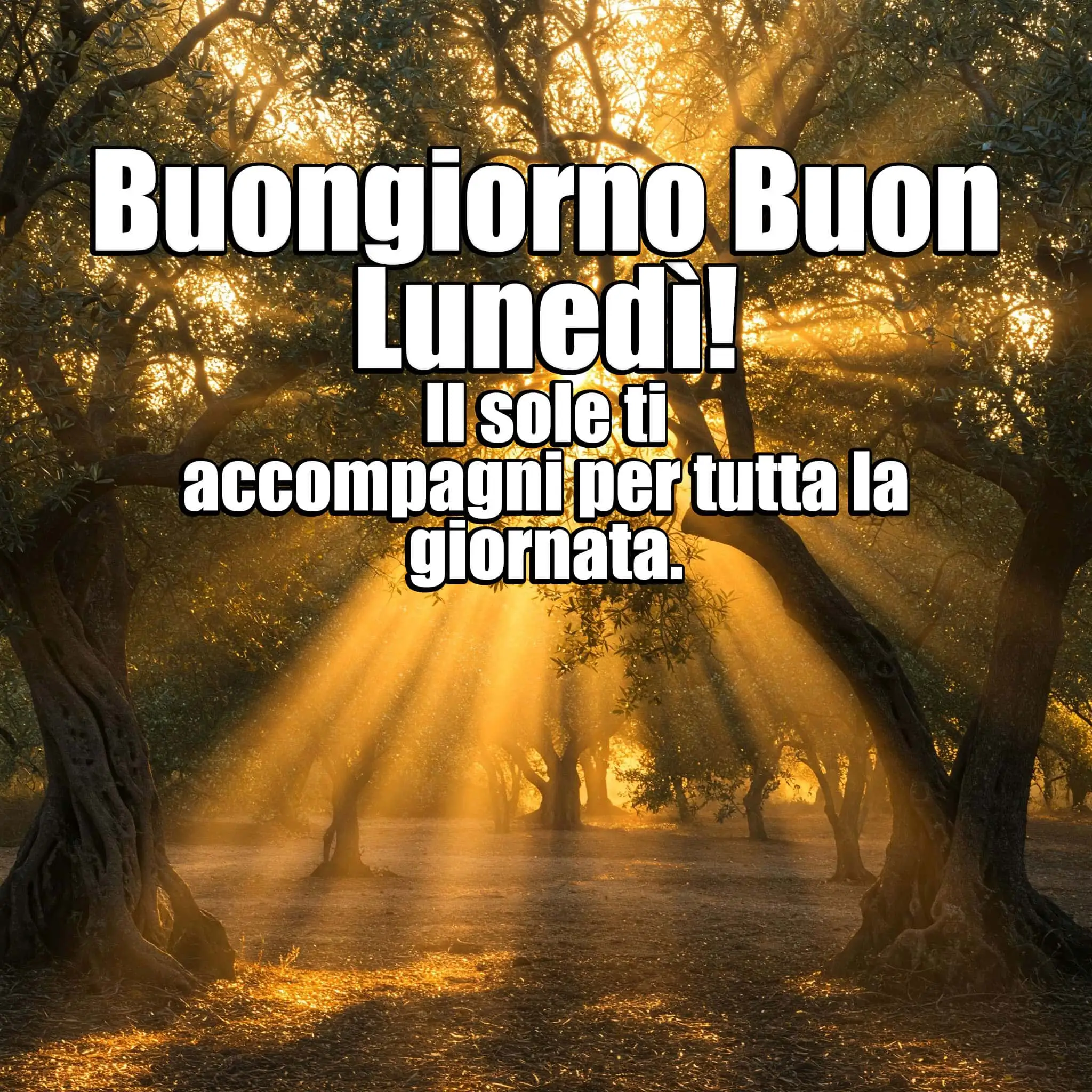 immagini buongiorno buon lunedì, buongiorno buon lunedì