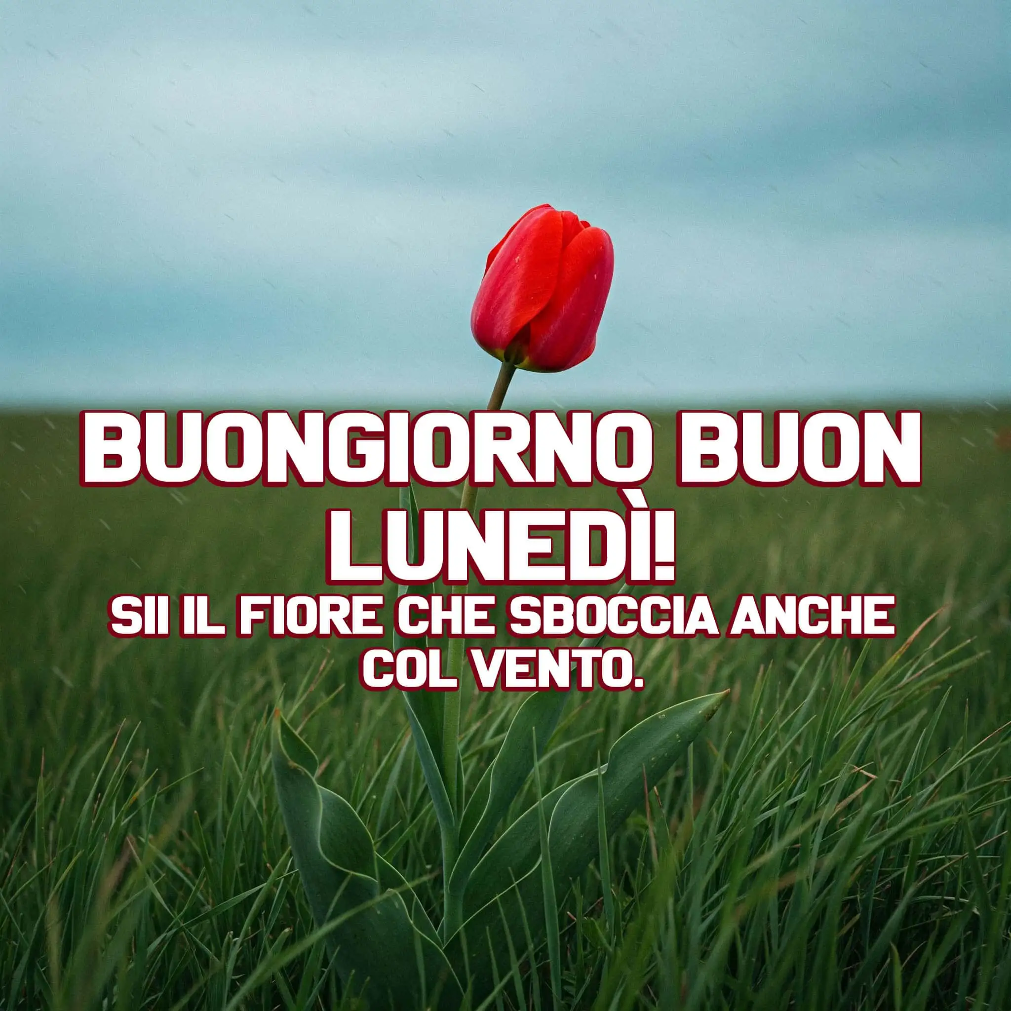 immagini buongiorno buon lunedì, buongiorno buon lunedì