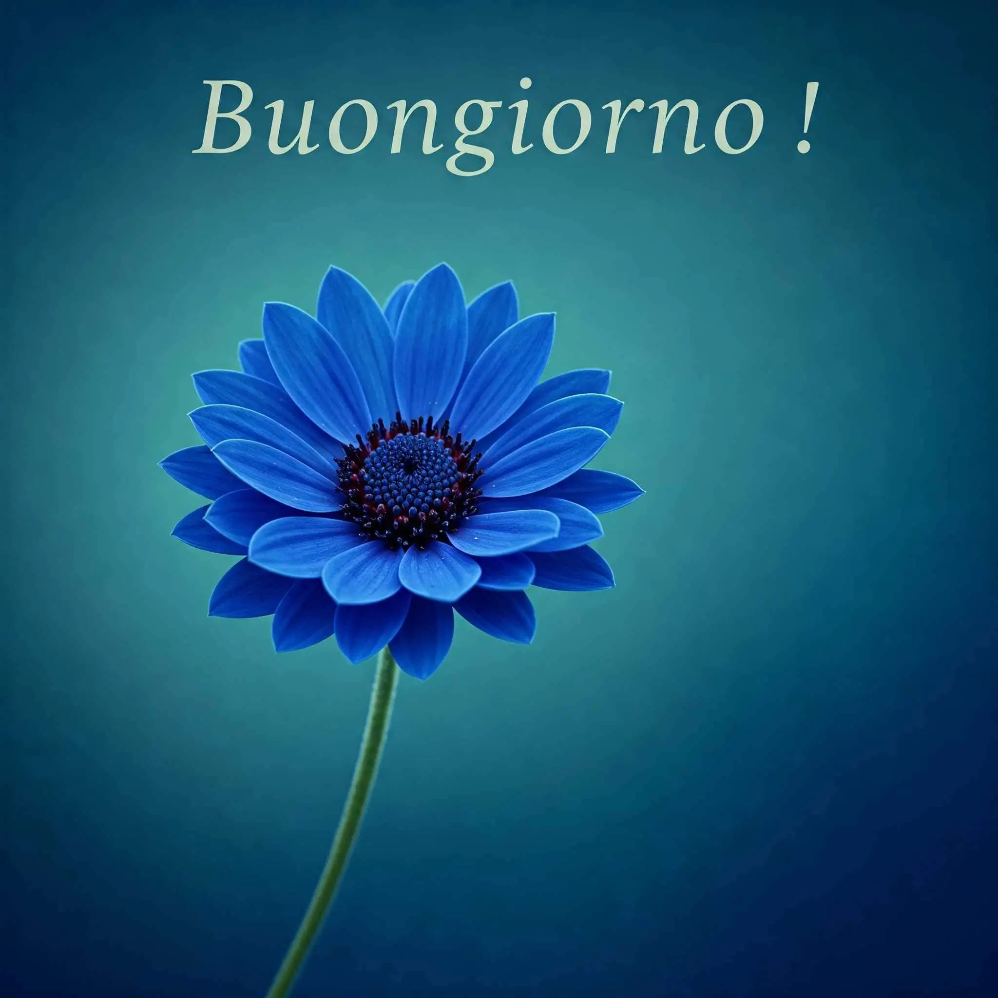 100 immagini buongiorno gratis per whatsapp, immagini buongiorno gratis
