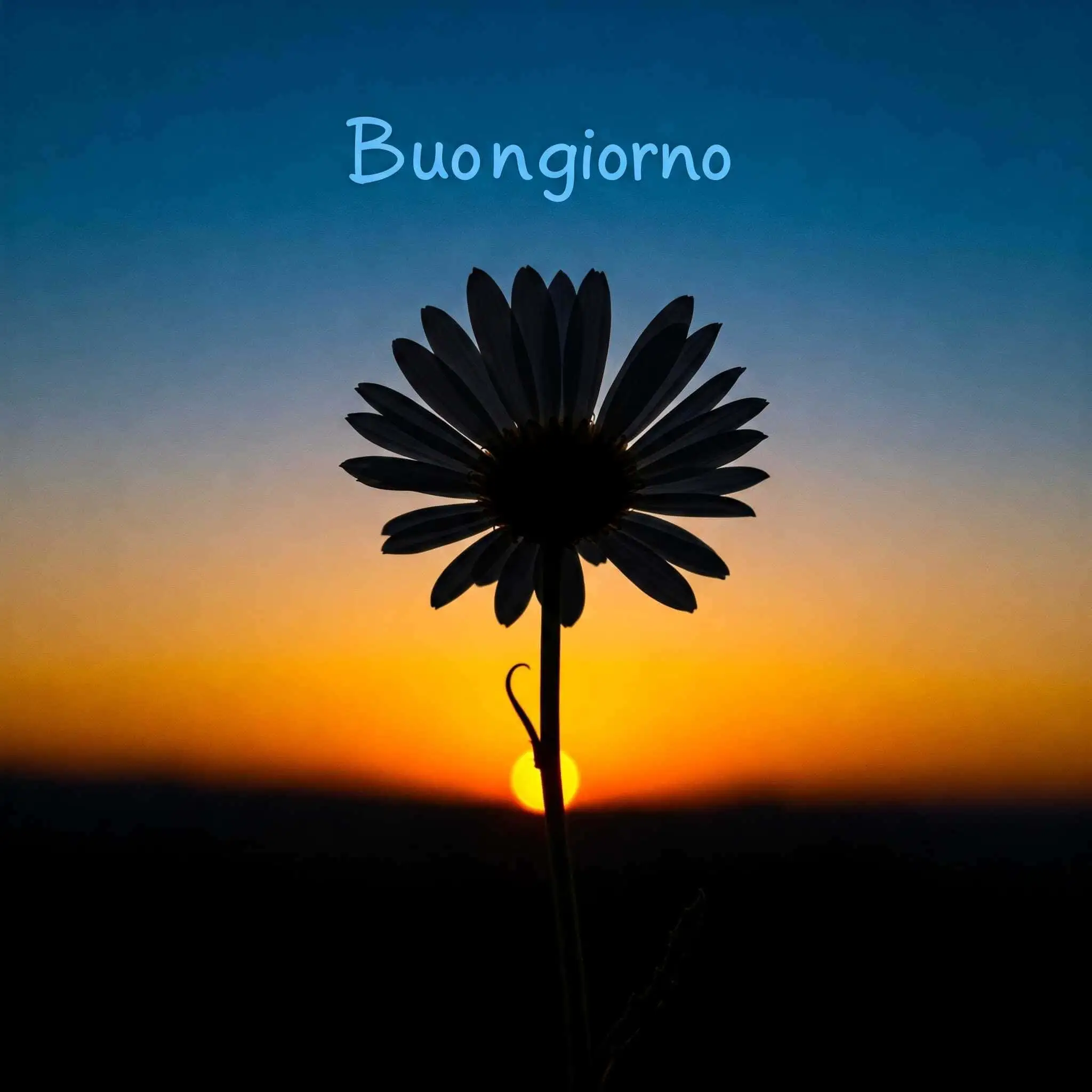 100 immagini buongiorno gratis per whatsapp, immagini buongiorno gratis