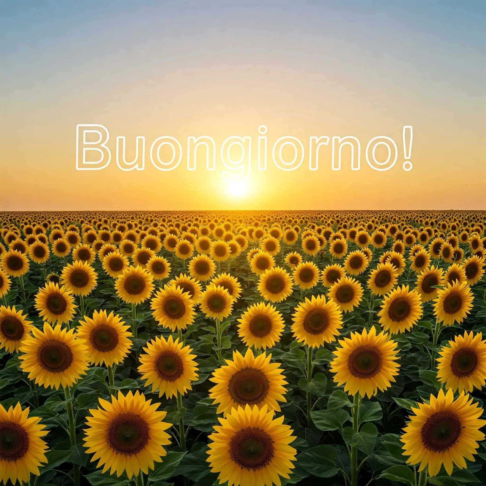 100 immagini buongiorno gratis per whatsapp, immagini buongiorno gratis