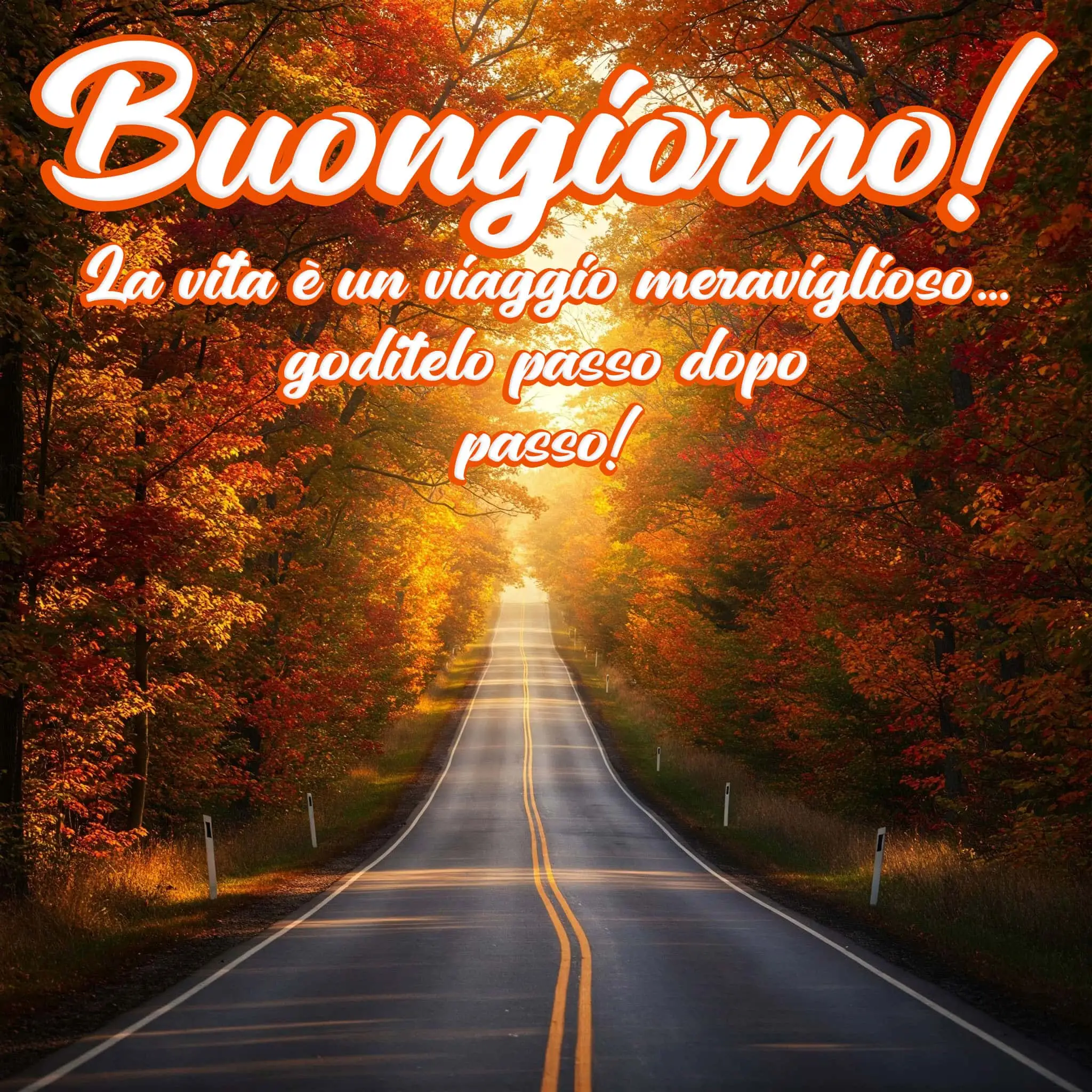 100 immagini buongiorno gratis per whatsapp, immagini buongiorno gratis