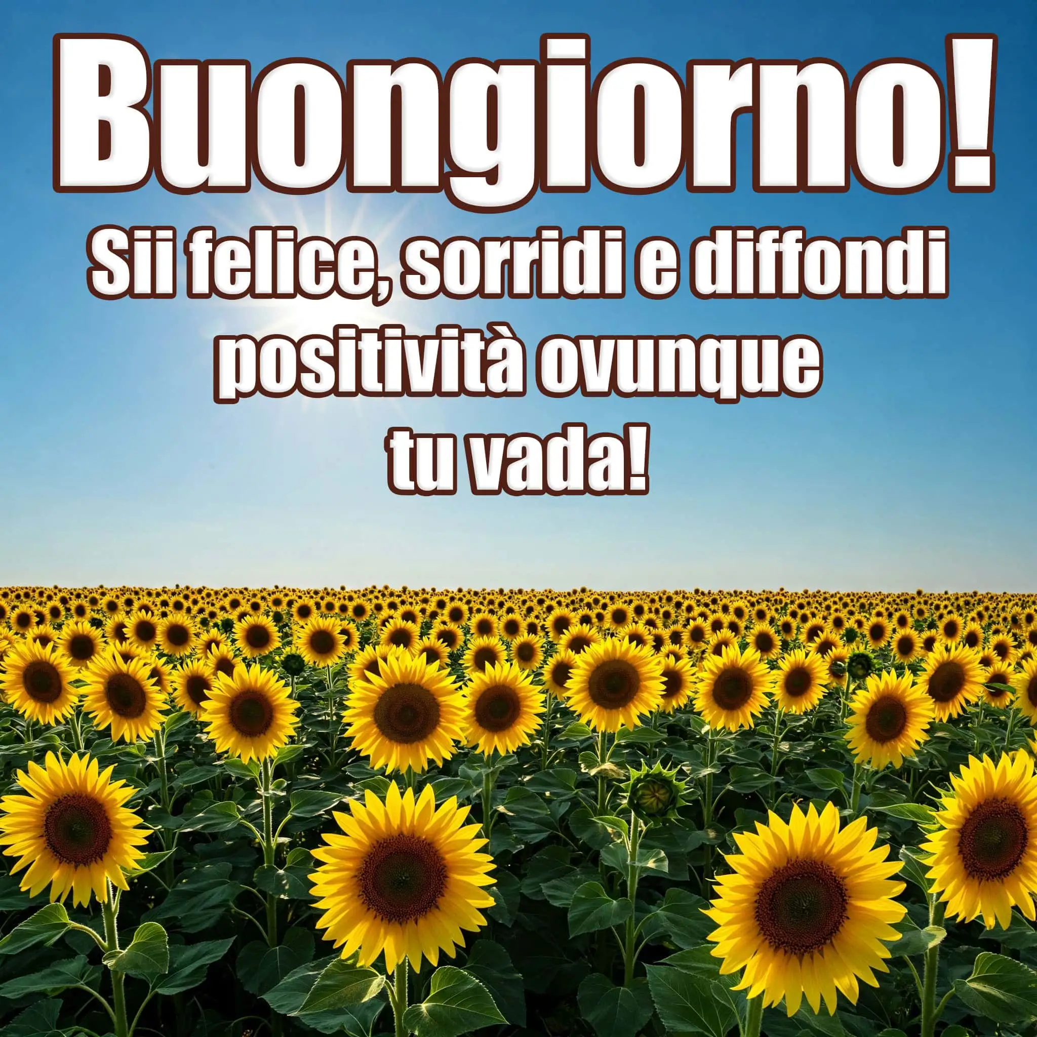 100 immagini buongiorno gratis per whatsapp, immagini buongiorno gratis