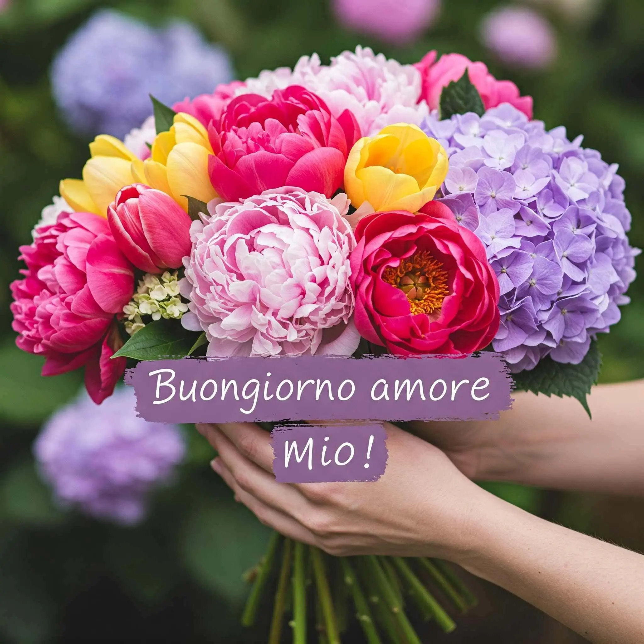 buongiorno amore mio, immagini buongiorno amore mio