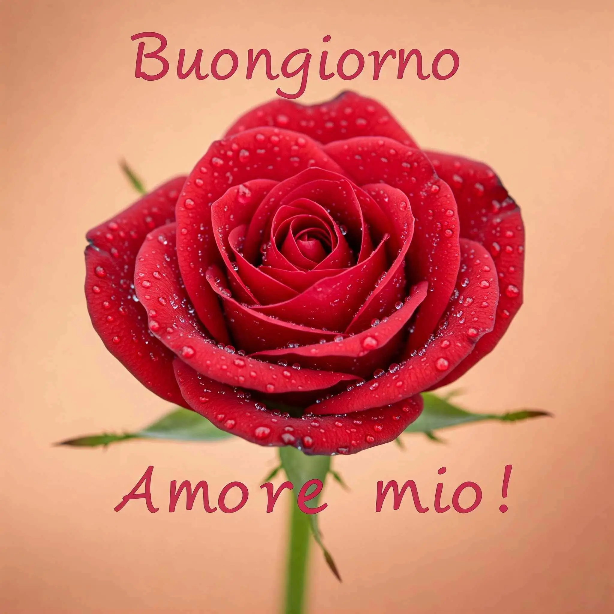 buongiorno amore mio, immagini buongiorno amore mio