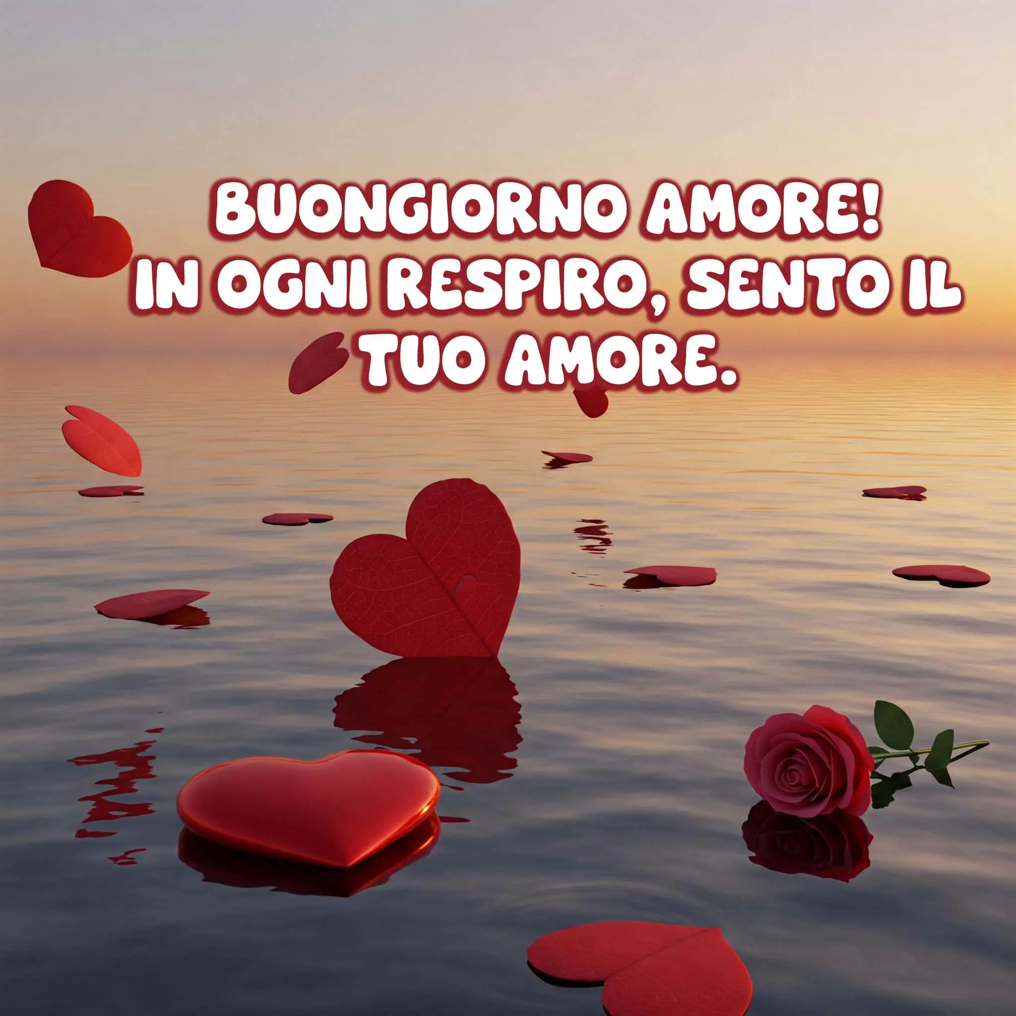 buongiorno amore mio, immagini buongiorno amore mio