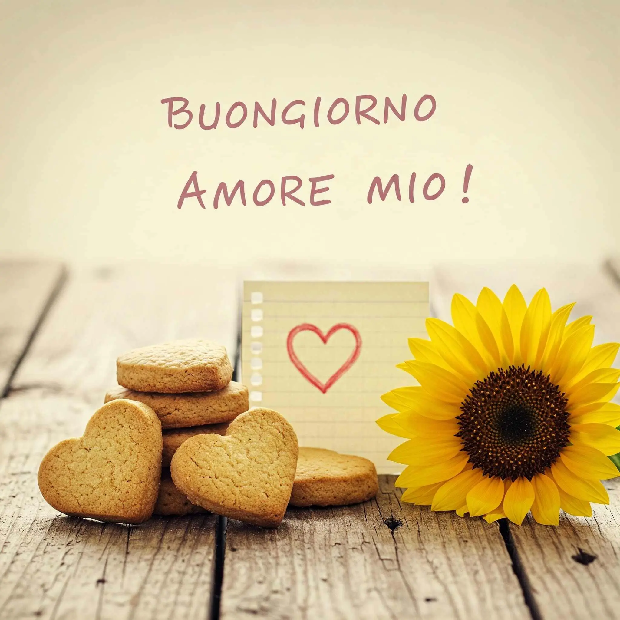 buongiorno amore mio, immagini buongiorno amore mio