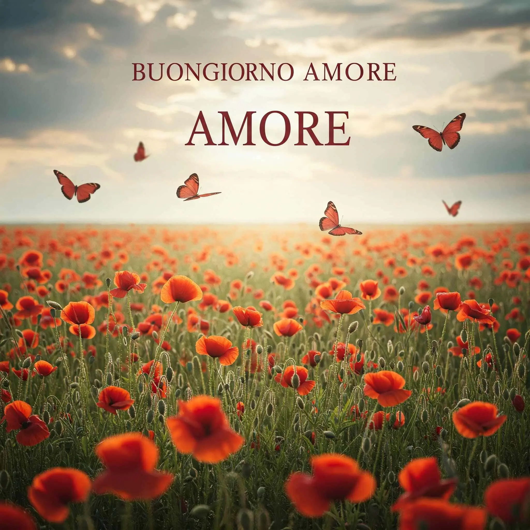 buongiorno amore mio, immagini buongiorno amore mio