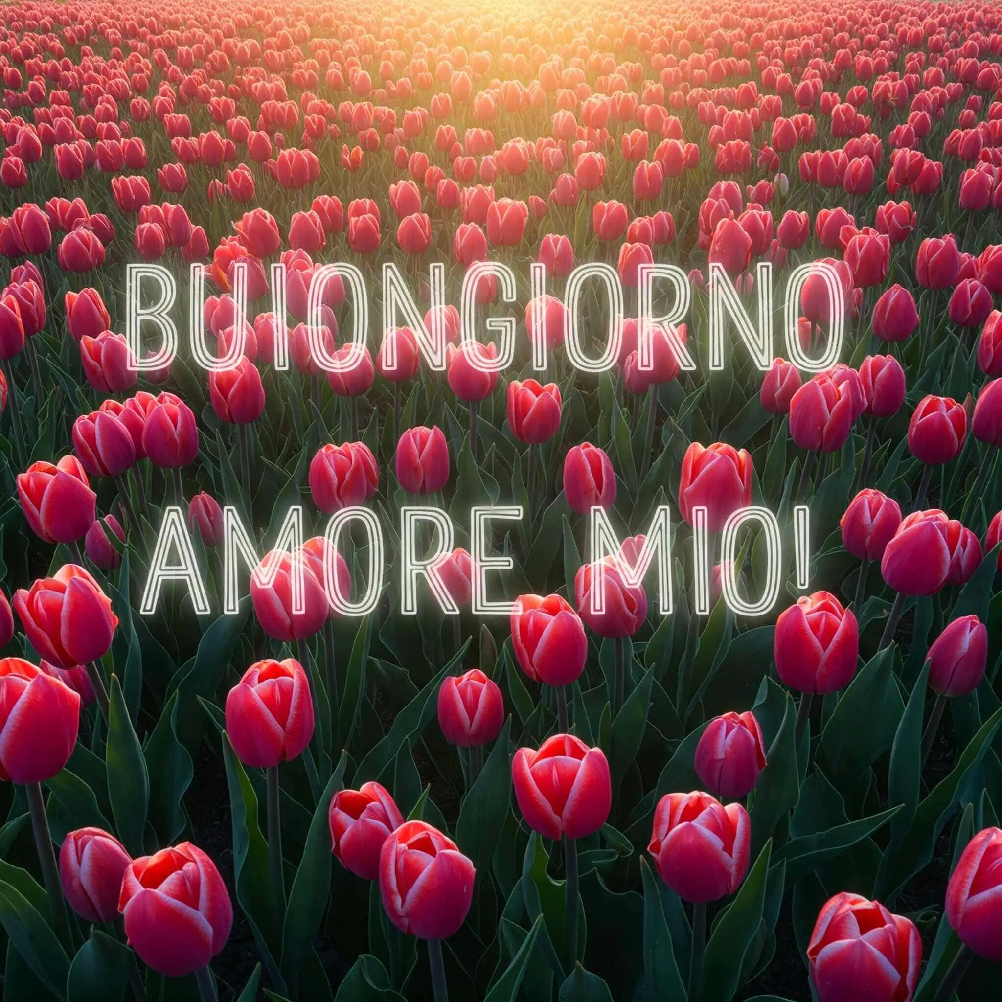 buongiorno amore mio, immagini buongiorno amore mio