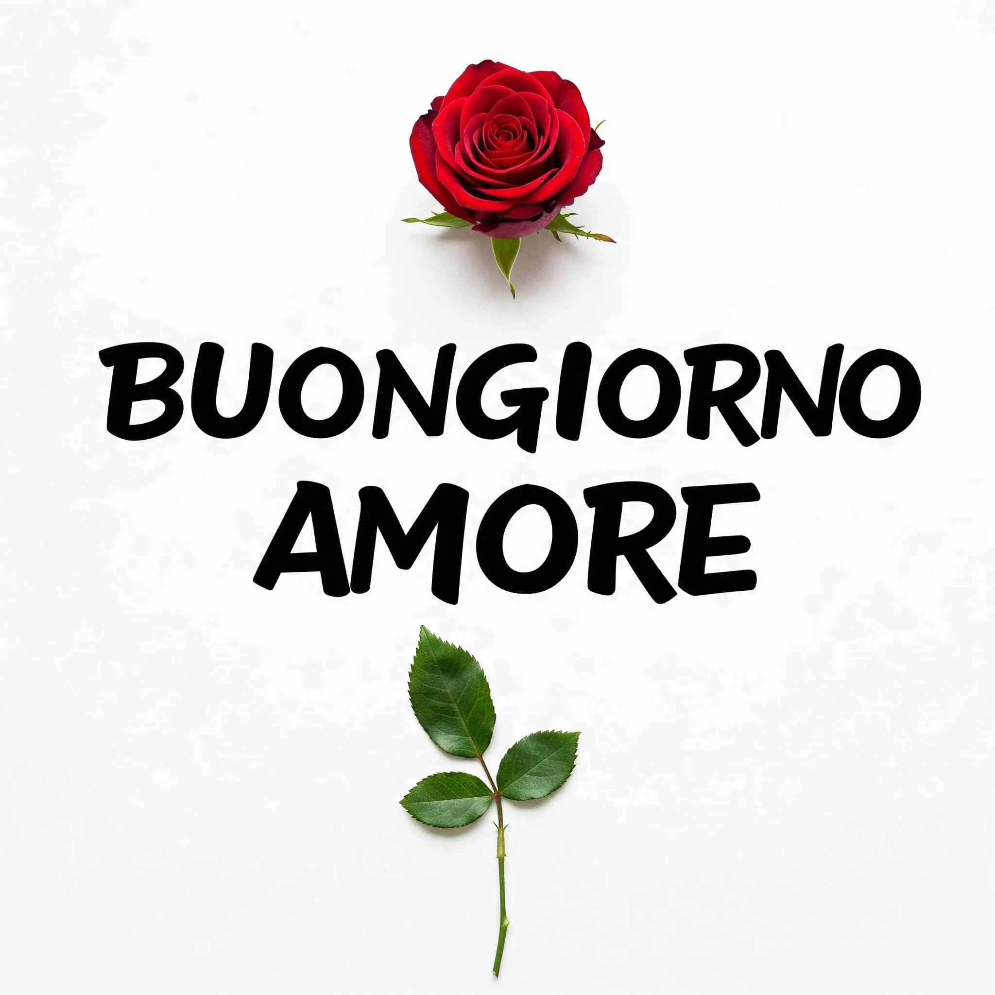 buongiorno amore mio, immagini buongiorno amore mio