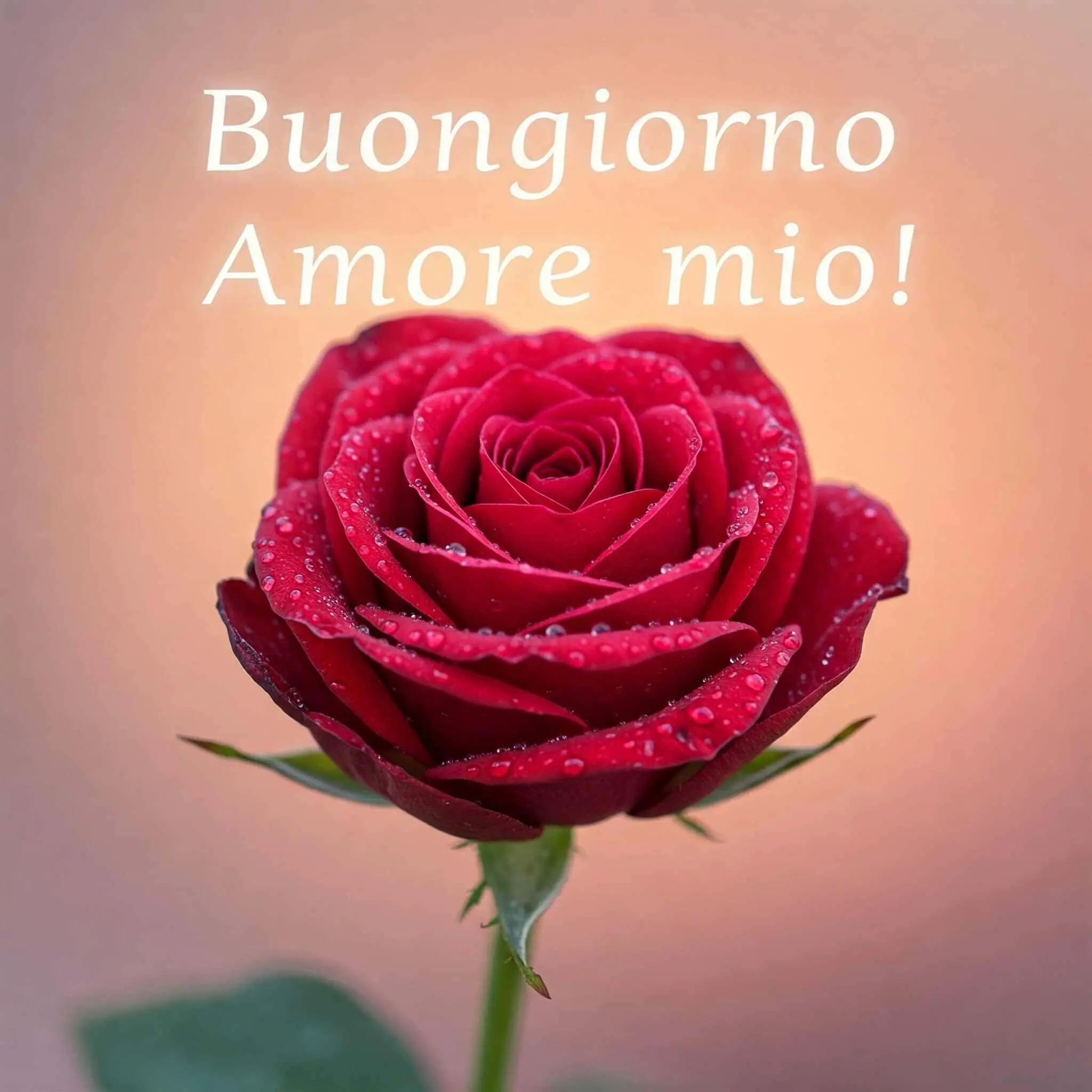 buongiorno amore mio, immagini buongiorno amore mio