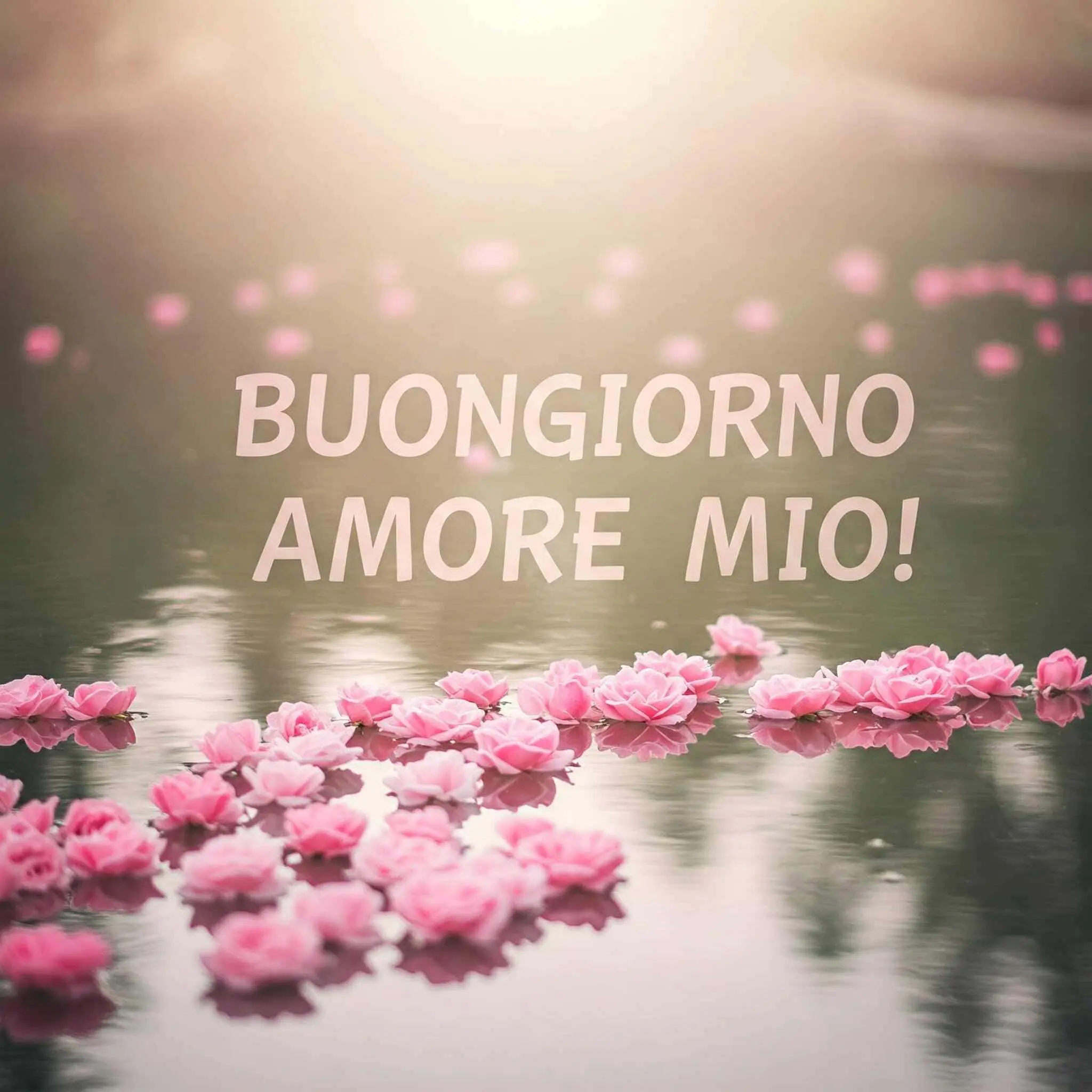 buongiorno amore mio, immagini buongiorno amore mio