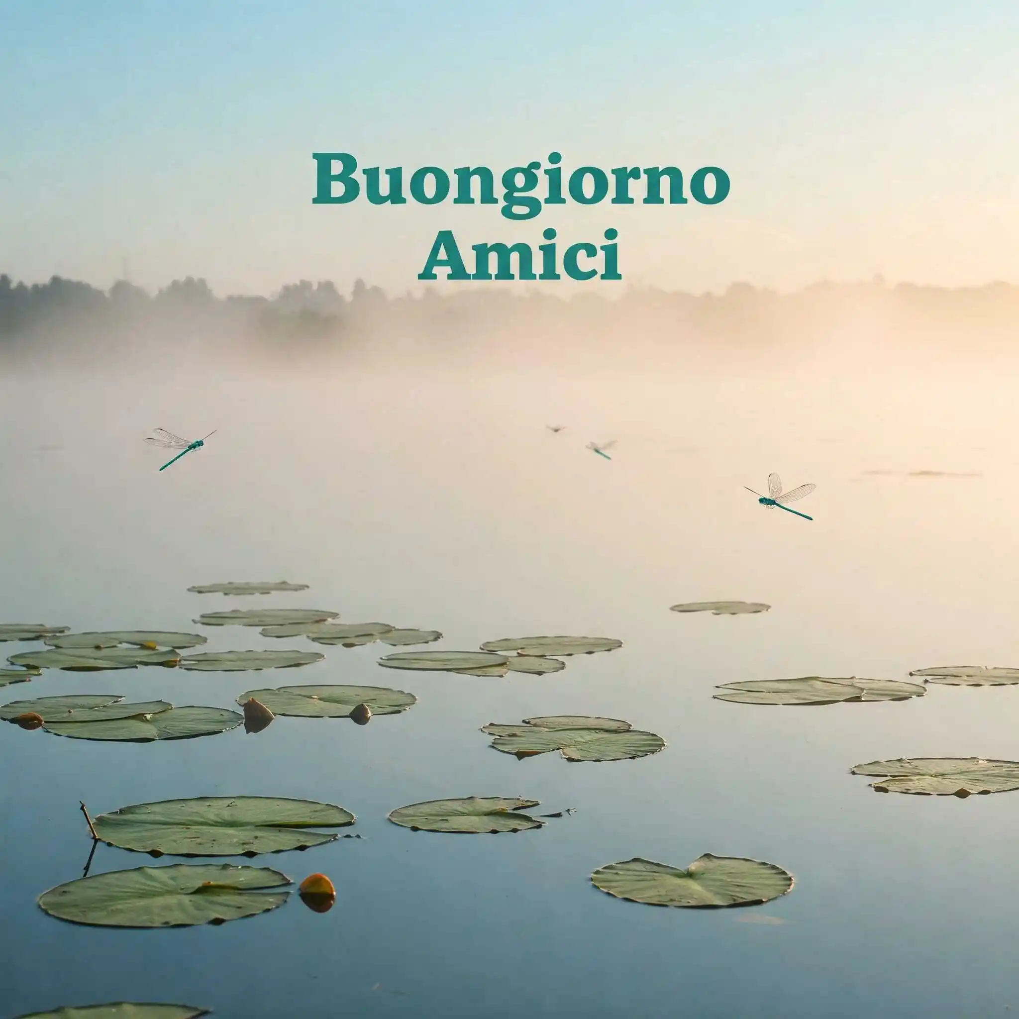 buongiorno amici, immagini buongiorno amici.